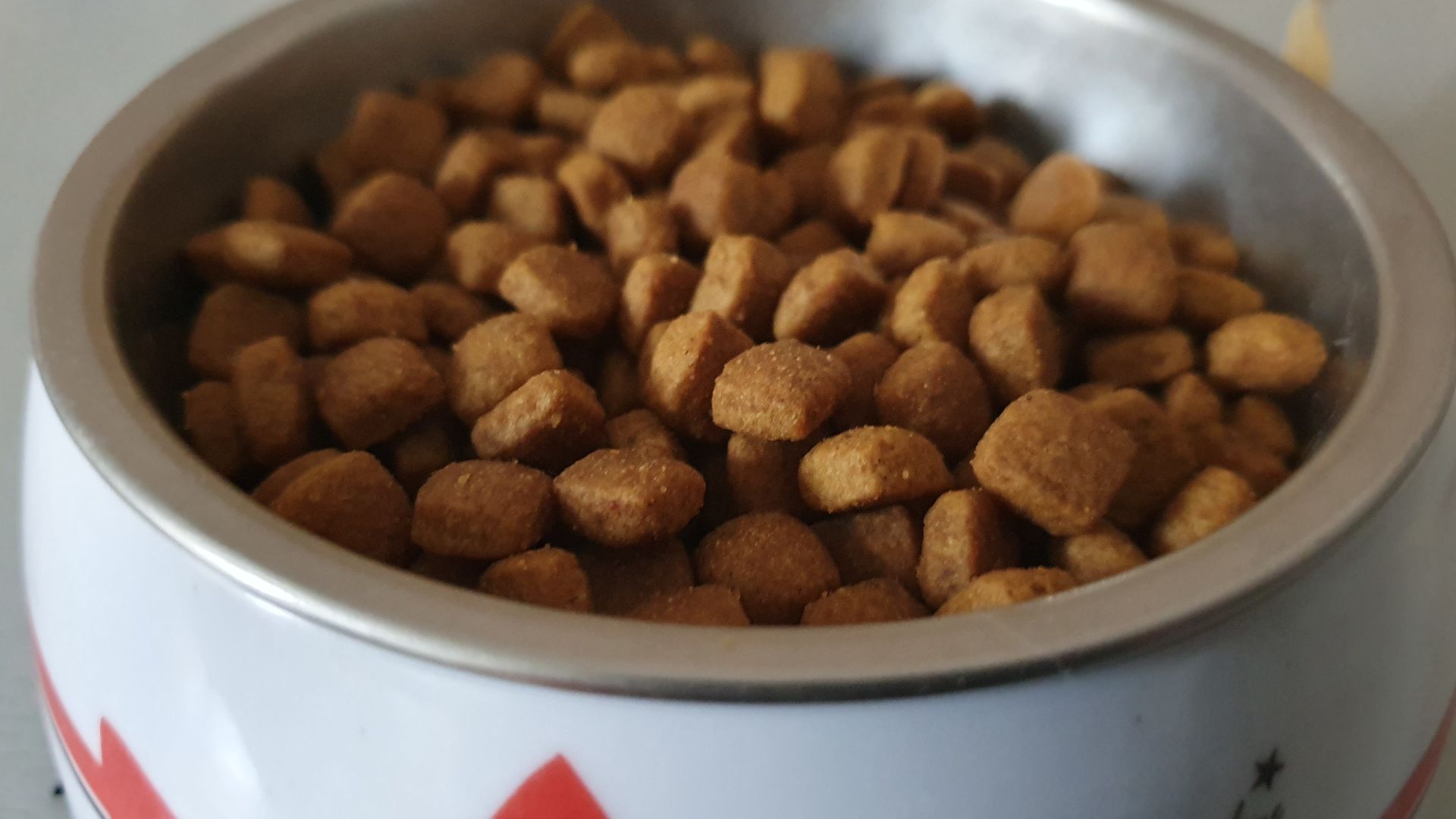 File:Gastrointestinal Haiball cat dry food (Royal Canin).jpg