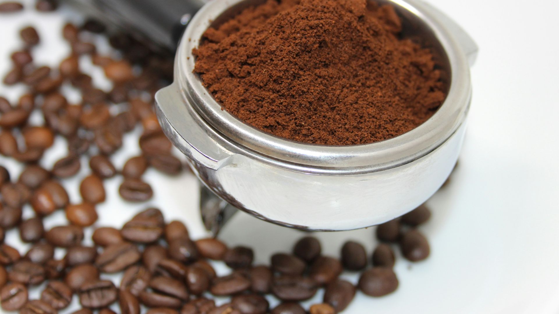 coffee beans on white ceramic mug
