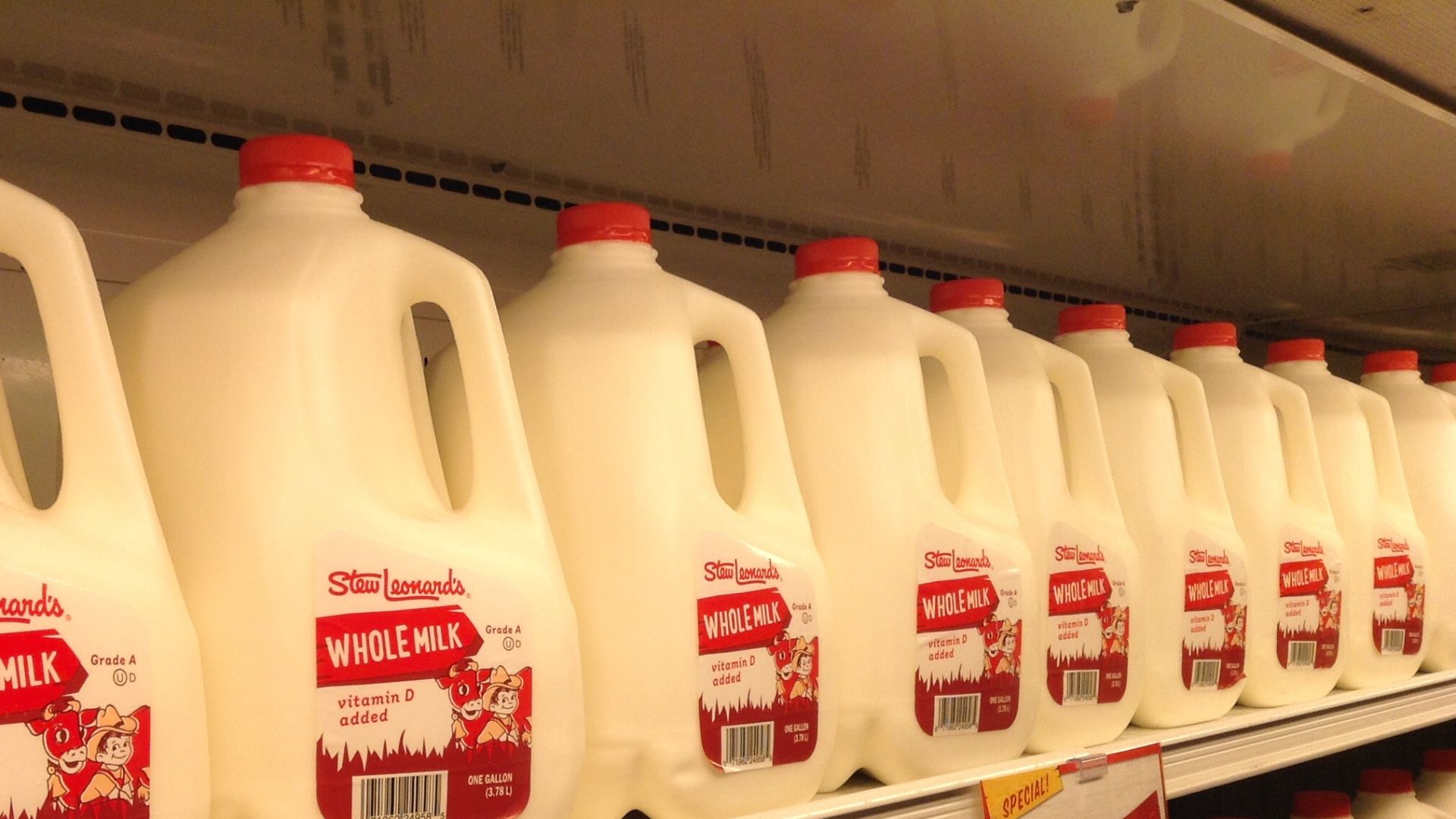 File:Whole milk aisle (17132962560).jpg