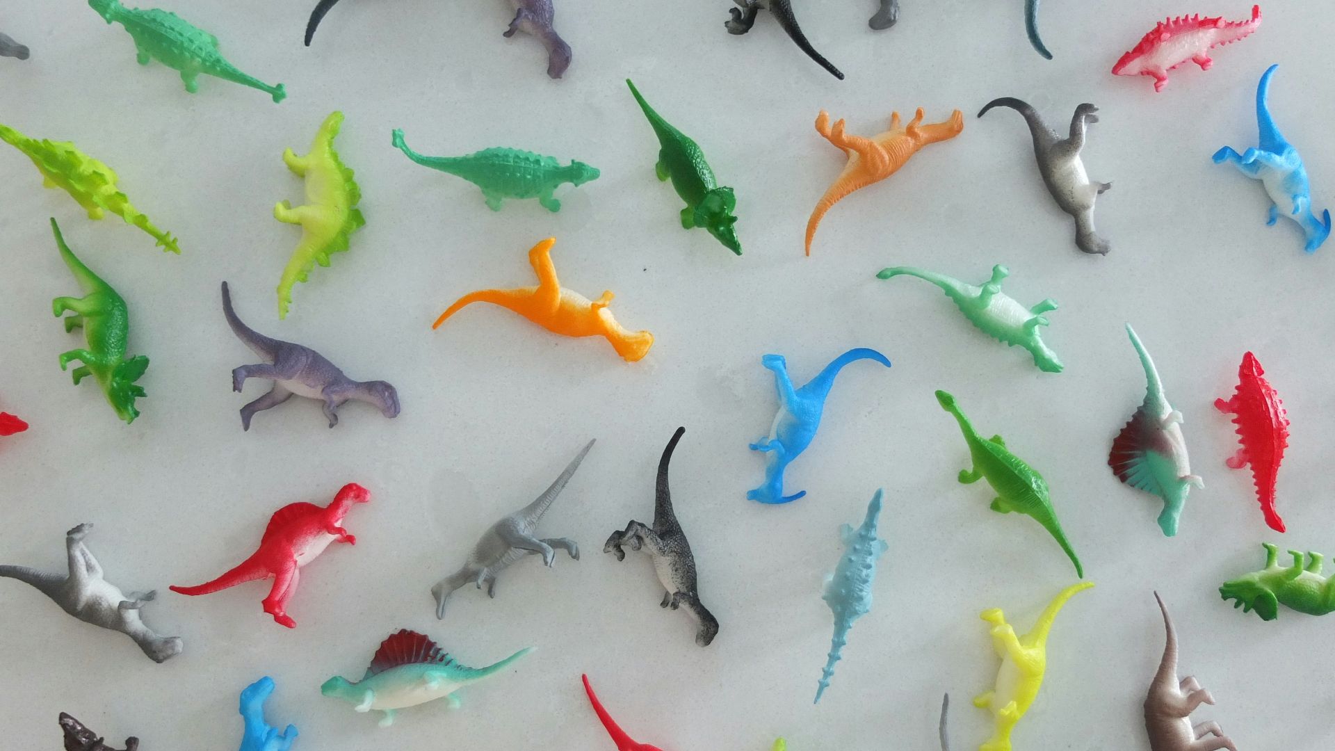 white and red koi fish