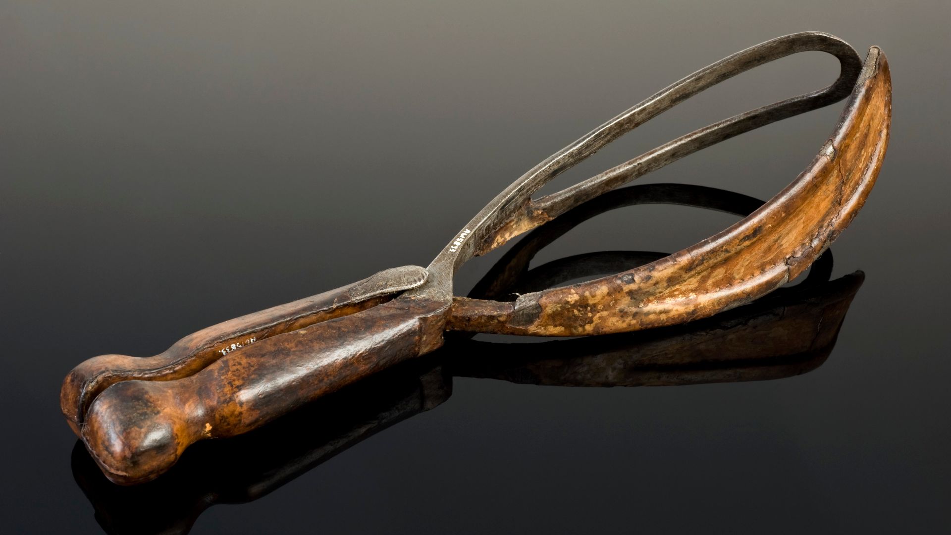 File:Smellie-type obstetrical forceps, United Kingdom, 1740-1760 Wellcome L0058093.jpg