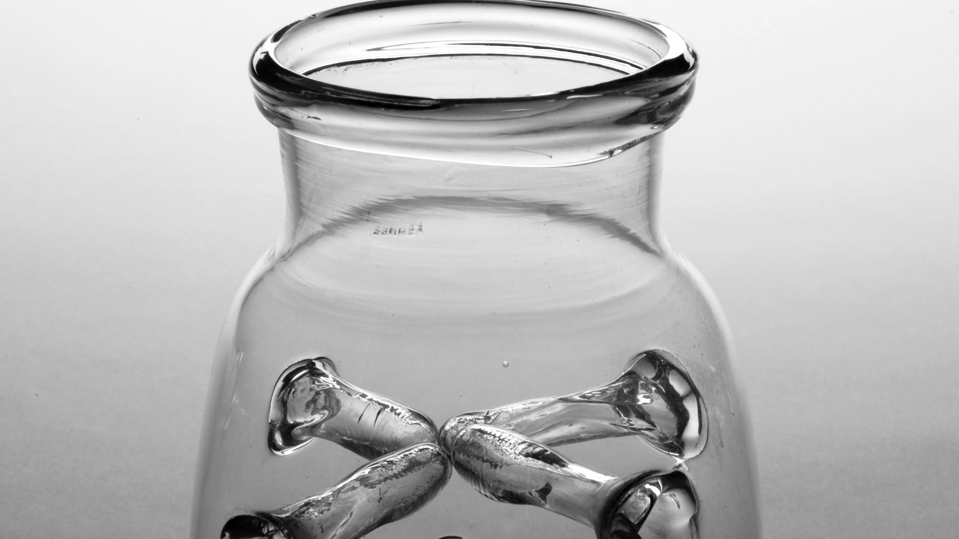 File:Glass leech jar, Europe, 1851-1900 Wellcome L0058780.jpg