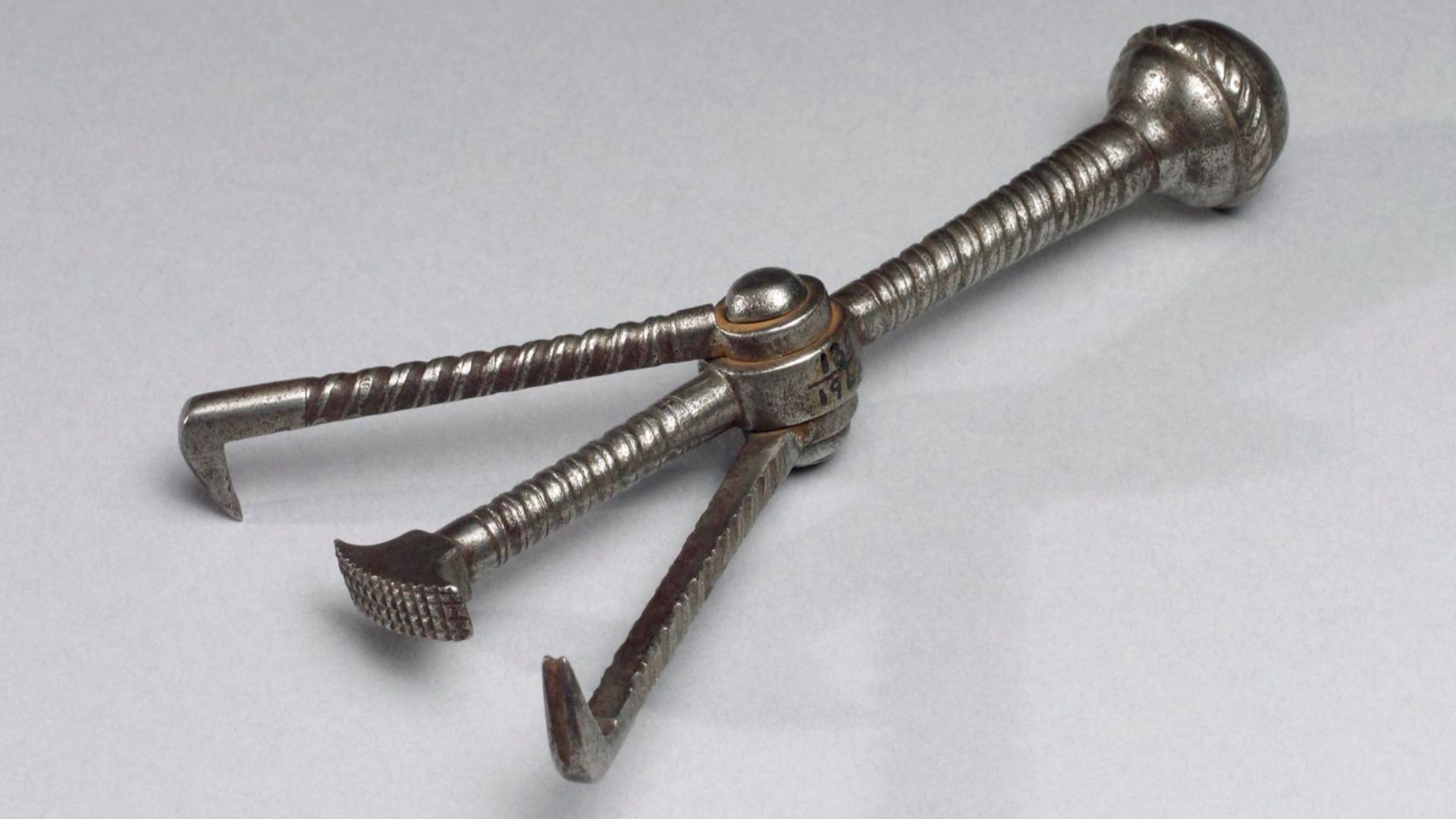 File:Dental pelican.jpg