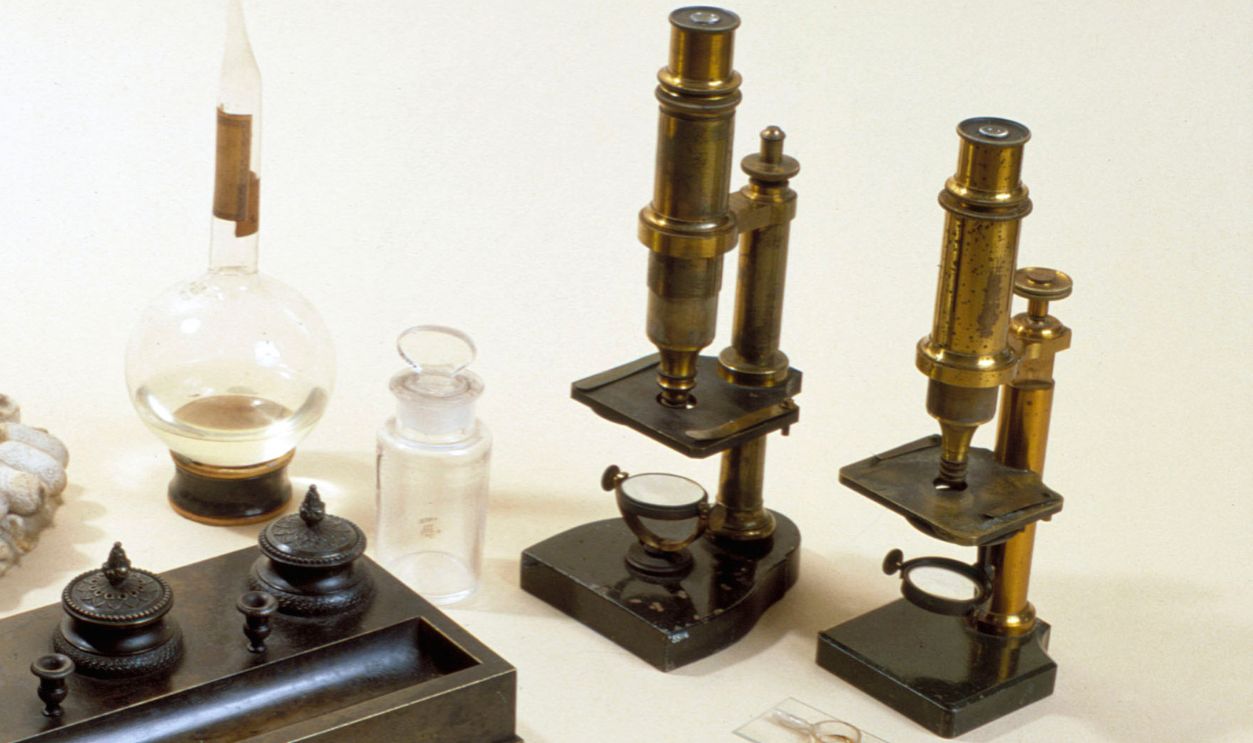 These items were used by the French chemist and microbiologist Louis Pasteur (1822-1895). They include silkworm cocoons, two microscopes, slides, a pipette, a flask, a bottle, and an inkstand. The silkworm cocoons from Pont Gisquet were used for Pasteur�s investigation into silkworm diseases (1860-1869); as was the compound monocular microscope, which was manufactured by Nachet et Fils of Paris (1860s). The culture slide and microscope, manufactured as above, were used for his spontaneous generation experiments. The bronze inkstand with inkwells and pounce box (1801-1830), was used at Pont Gisquet. The pipette was used to remove saliva from rabid dogs during Pasteur�s search for a vaccine for rabies.