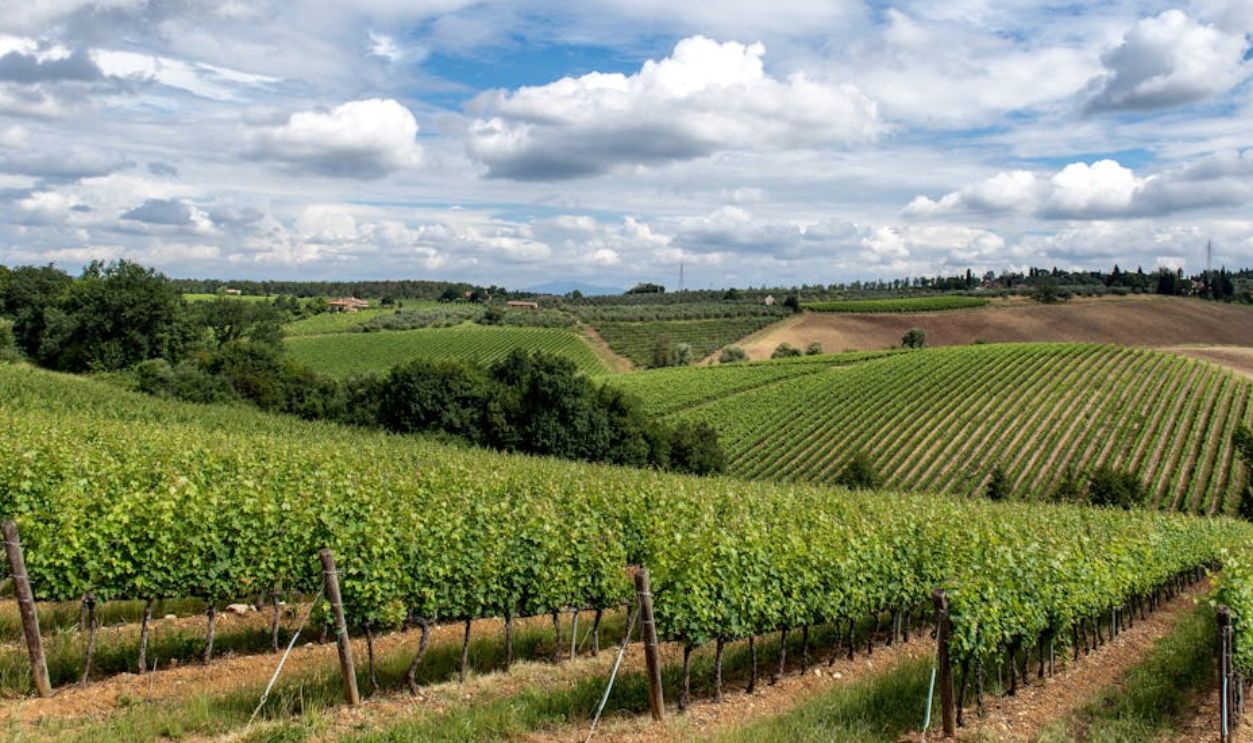 Agricultural And Farmland