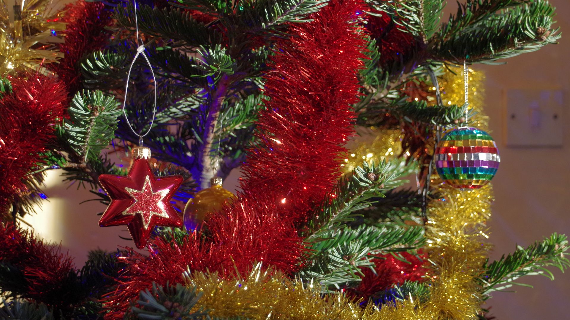File:Wraxall 2014 MMB 07 Christmas Tree.jpg