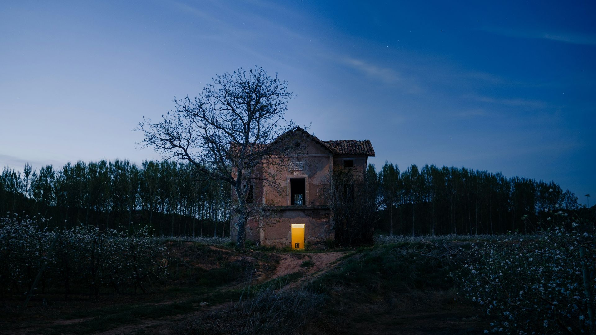 red brick house at dusk