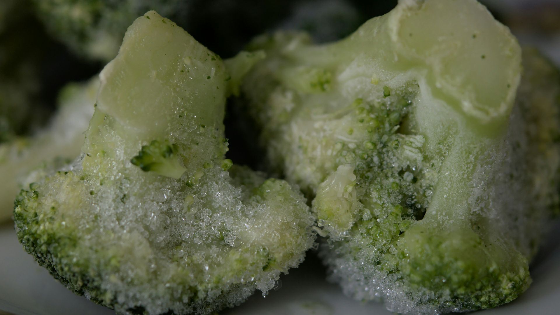 green and white food on white ceramic plate
