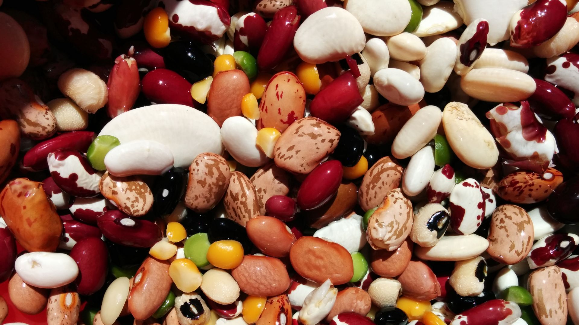 File:Dry beans.jpg