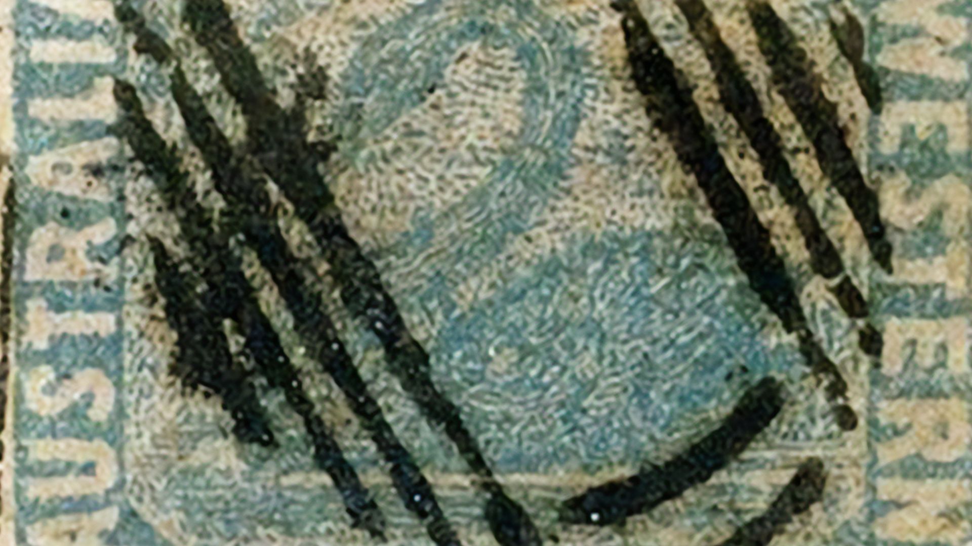 File:Inverted Black Swan SLNSW.jpg