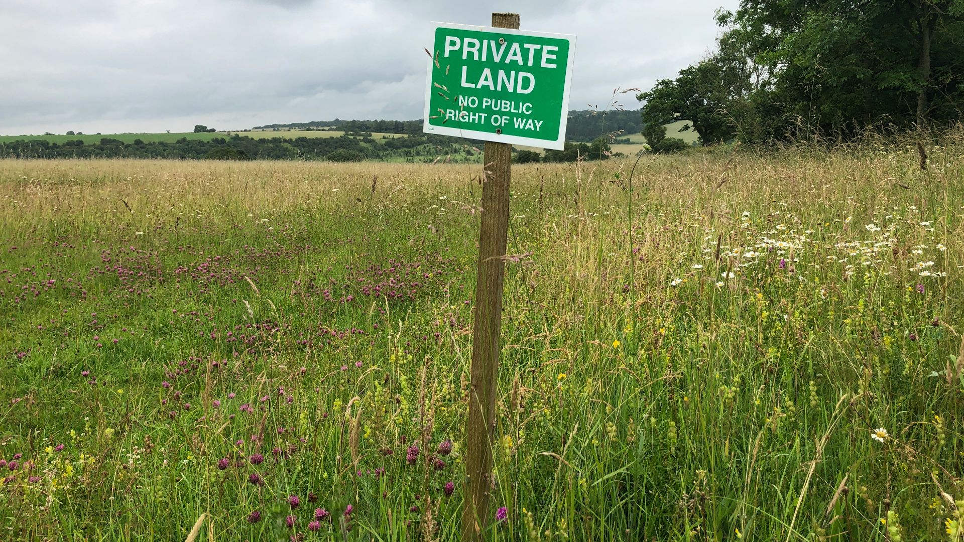 green and white road sign