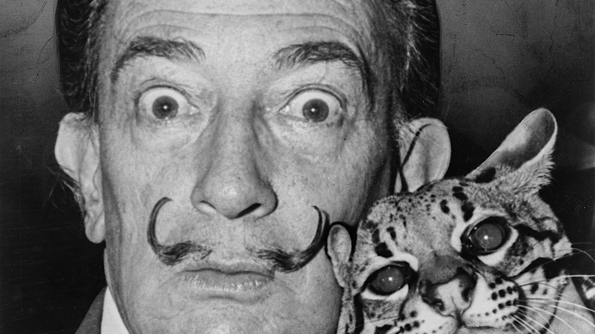 File:Salvador Dali NYWTS.jpg