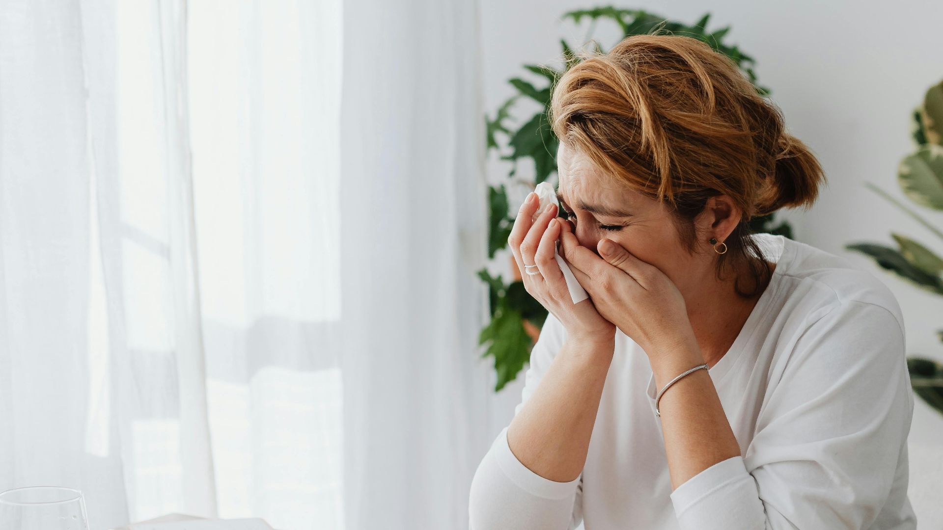 Photo By: Kaboompics.com