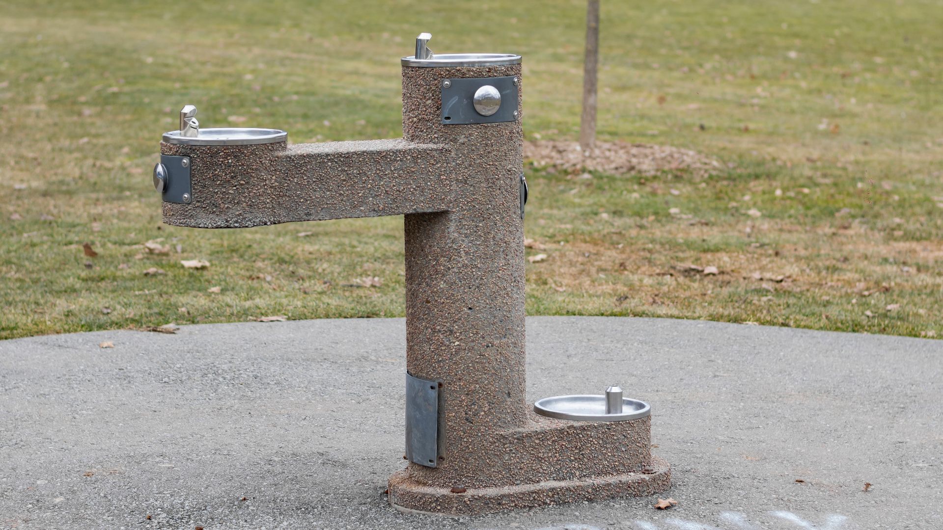 File:Drinking water fountain in Dentonia Park 12.jpg