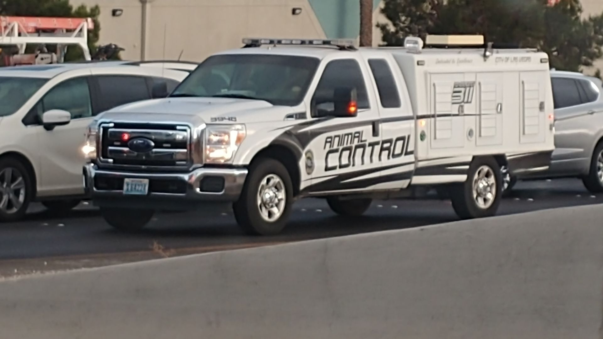 File:Las Vegas Animal Control Ford F-250.jpg