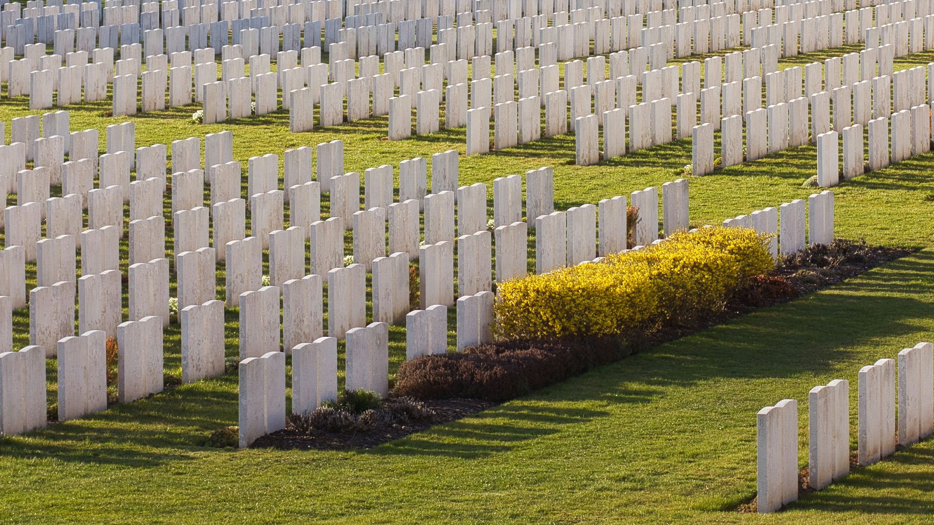 white wooden fence on green grass field during daytime