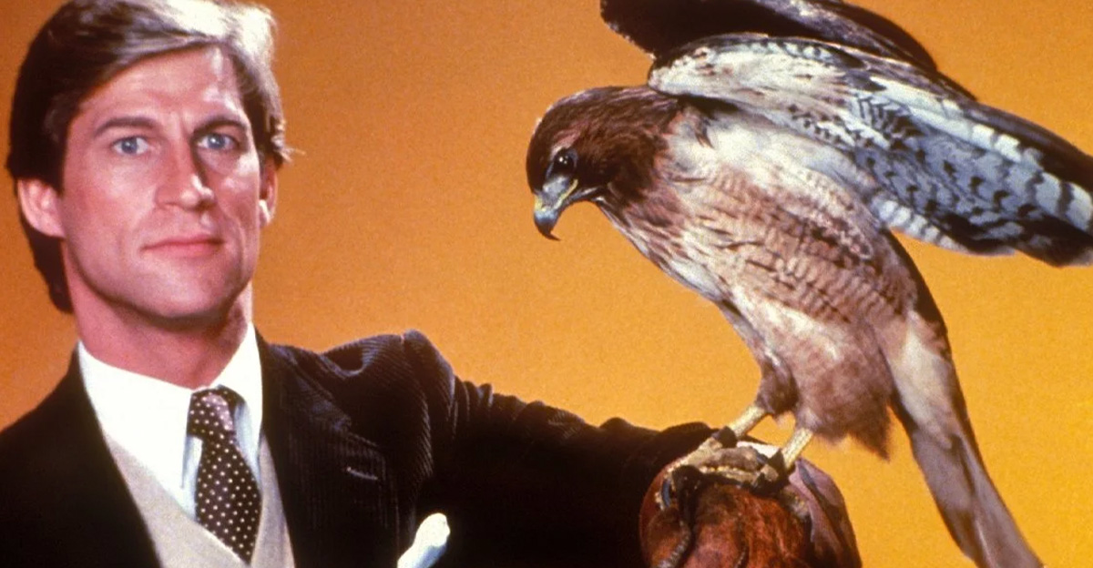 Rss Thumb - Bizarre Tv Shows