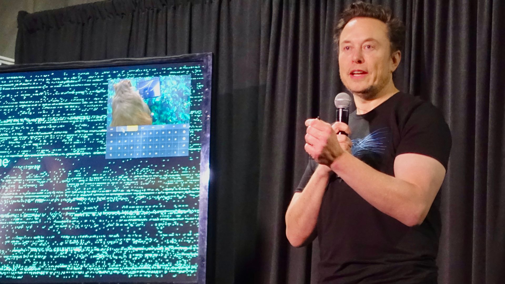 File:Monkey in the Matrix (52536941713).jpg