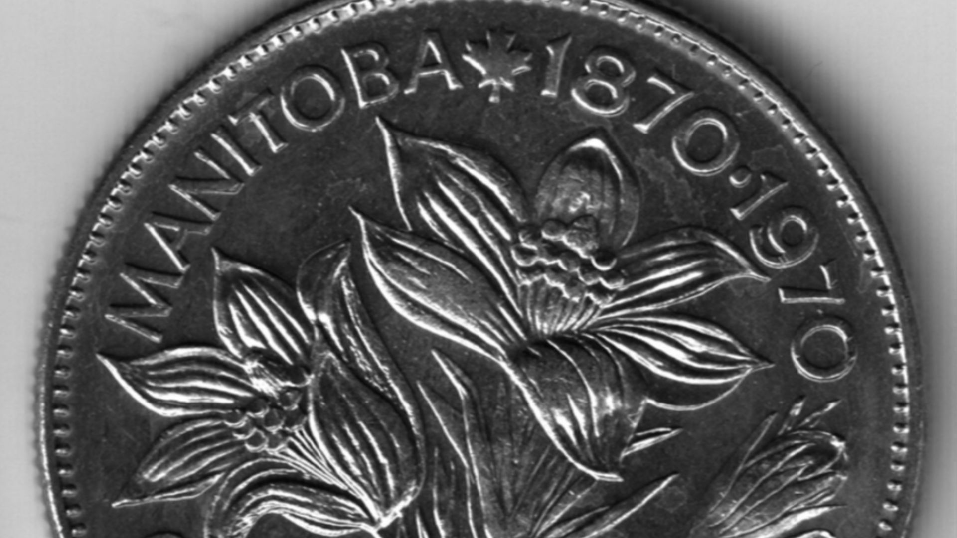 File:1970 Canadian nickel dollar.png