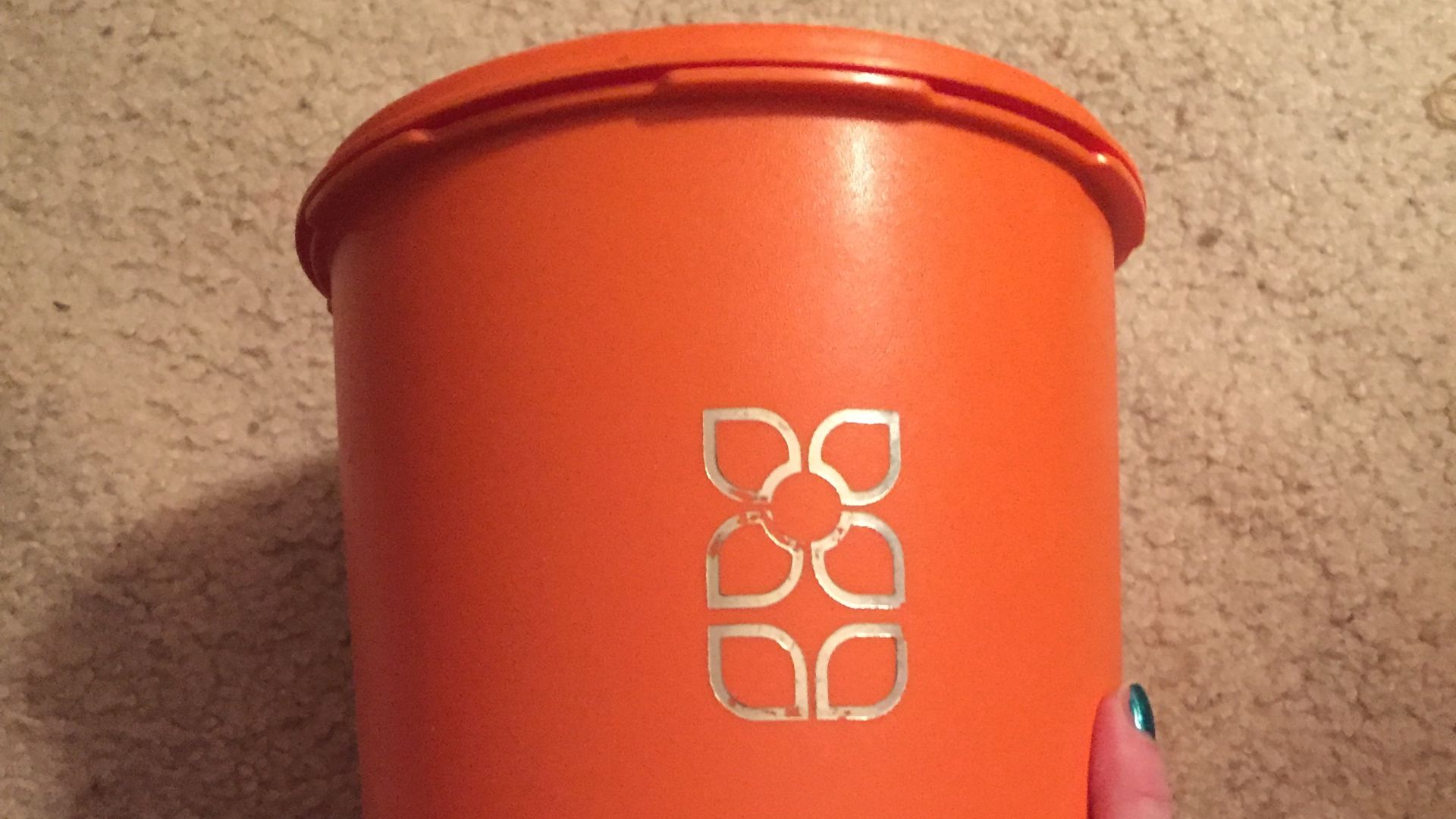 File:Holding vintage Tupperware in hand.jpg