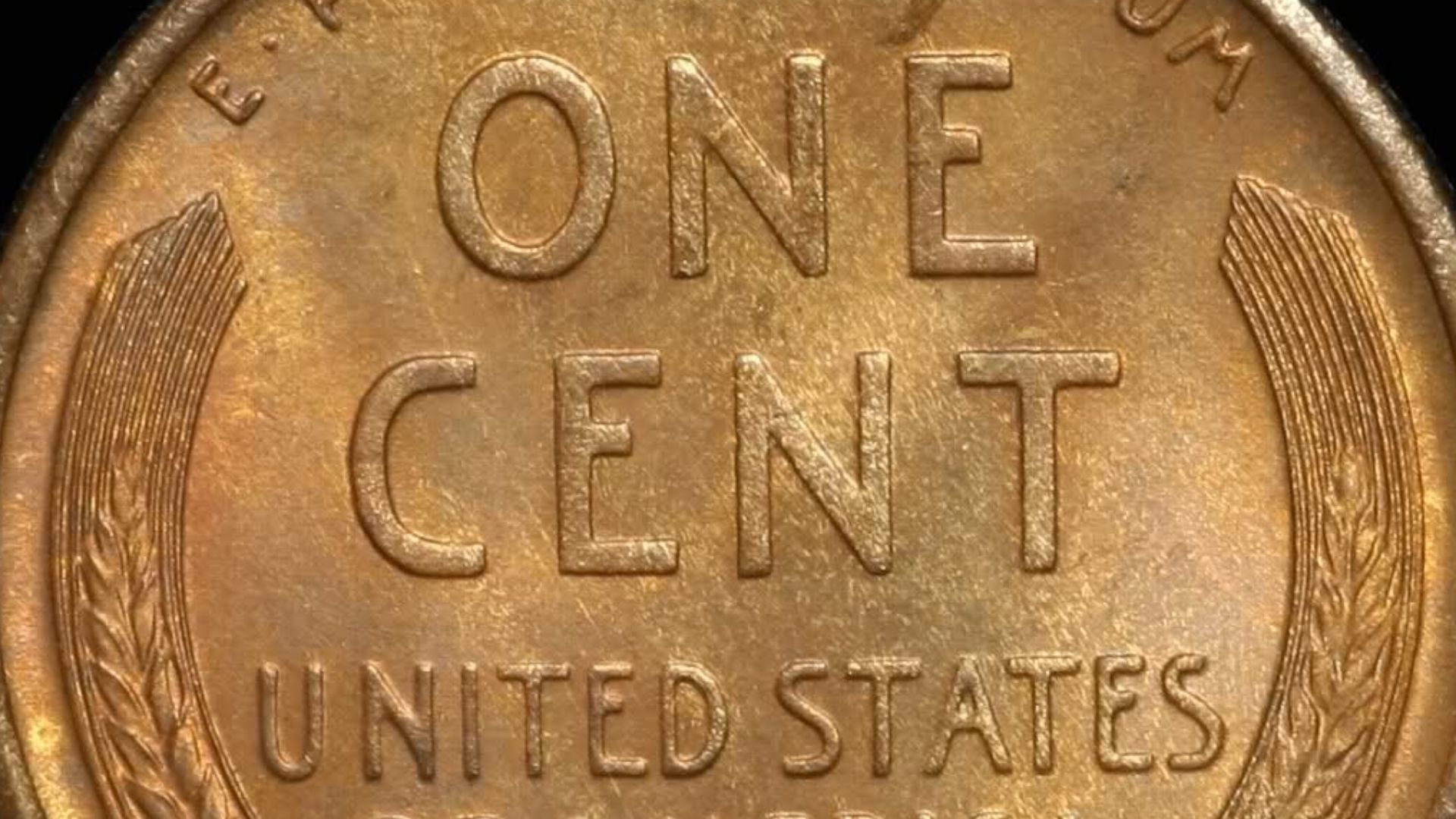 File:1909-S VDB Lincoln cent reverse.jpg