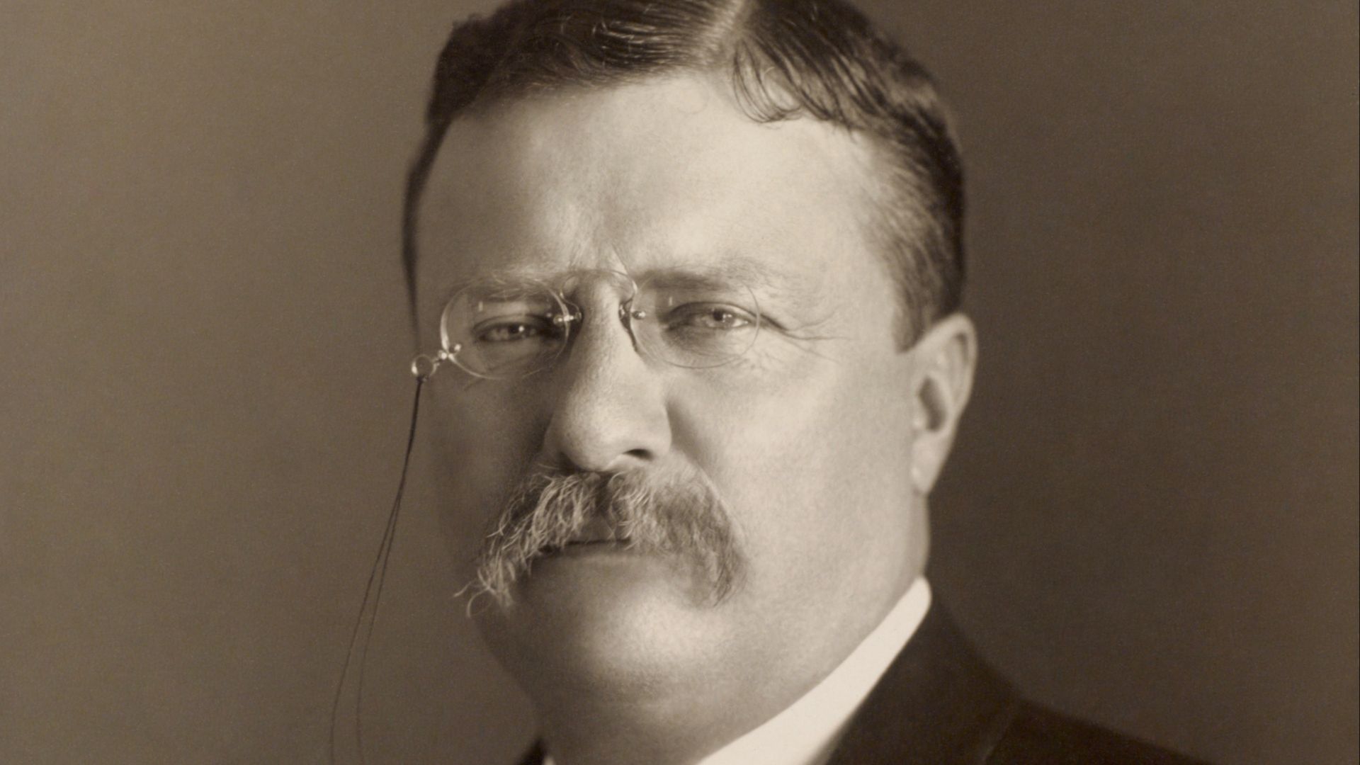 File:Theodore Roosevelt by the Pach Bros.jpg