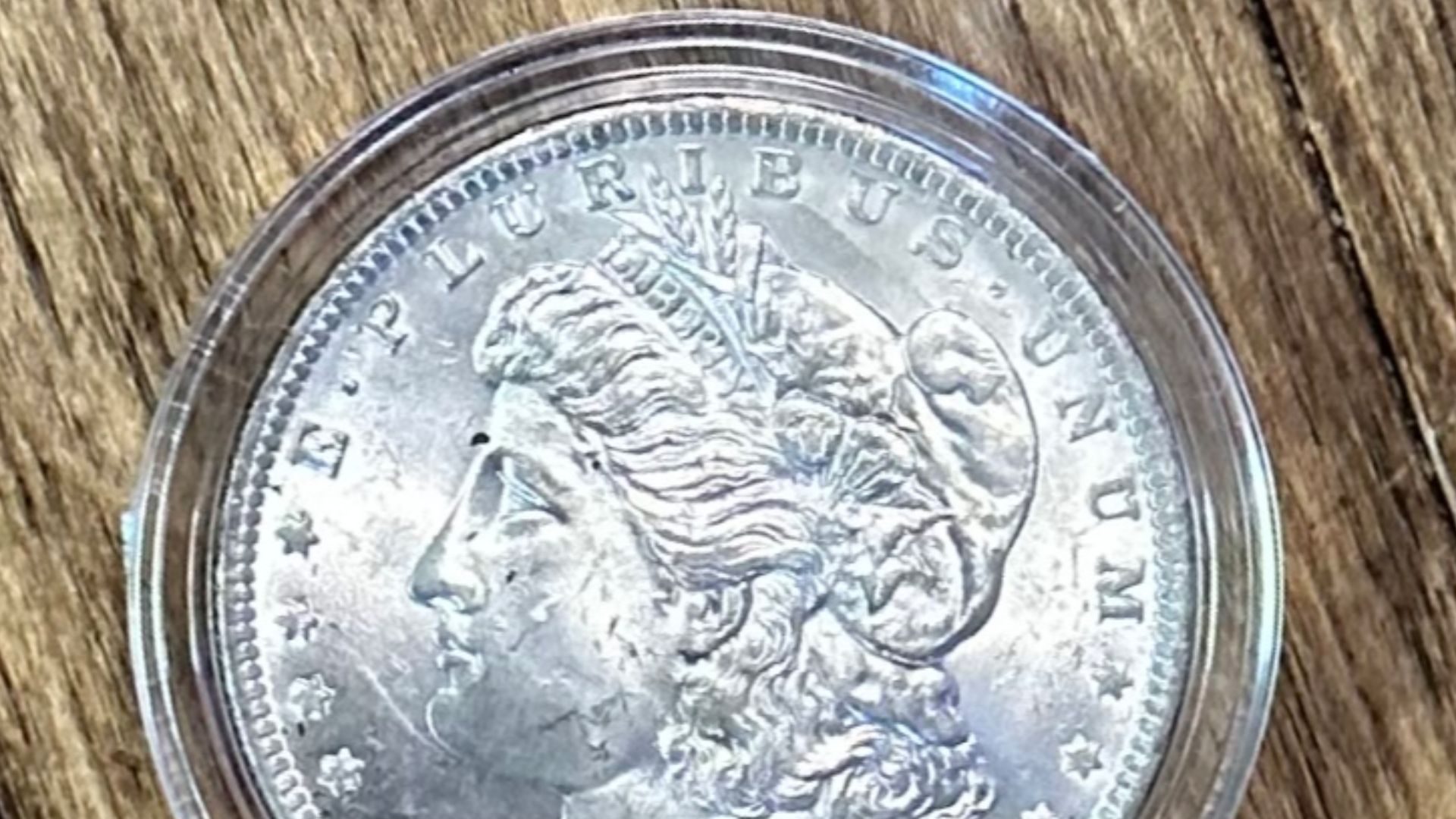 File:1884 Morgan Dollar in a Coin capsule.jpg
