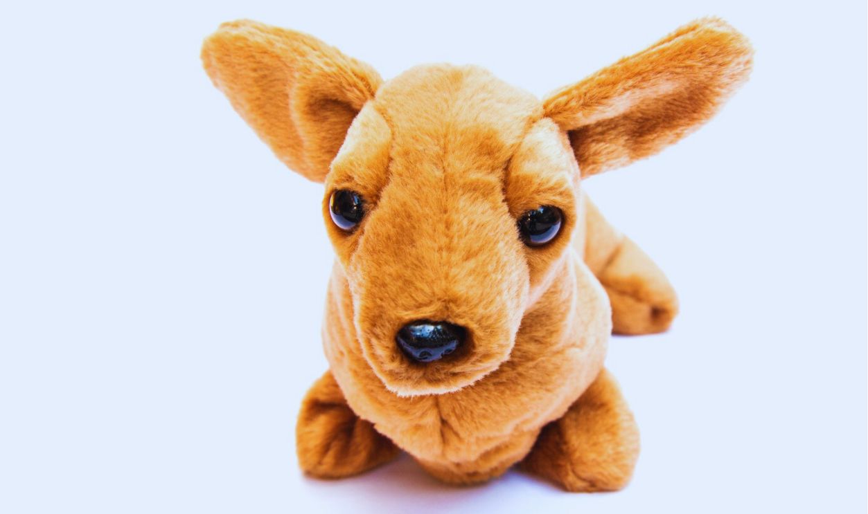 Weenie The Dachshund