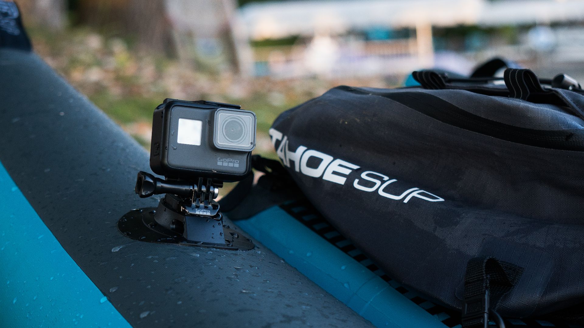 File:Tahoma Chris Kelly Fish Yoga00134.jpg