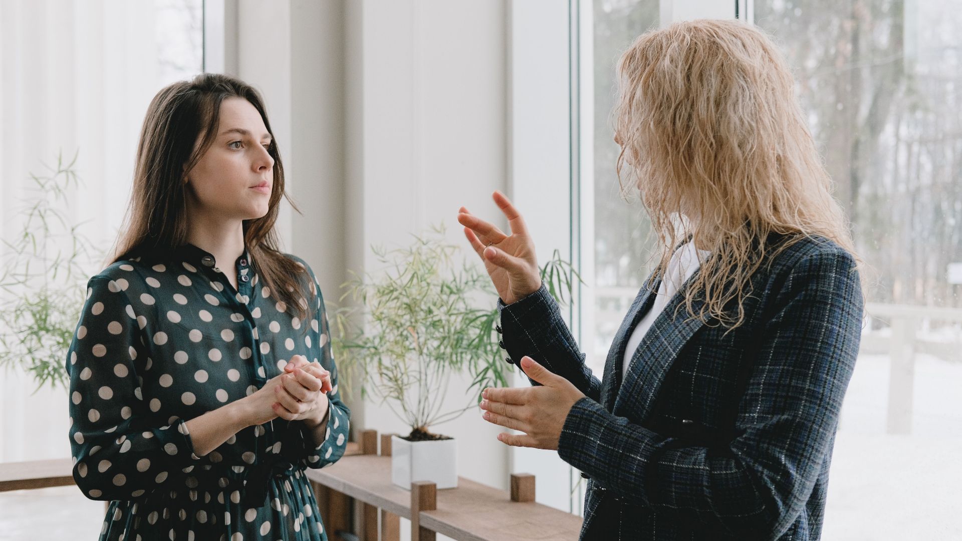 Concentrated young female colleagues in elegant outfits standing near window in light office and discussing project