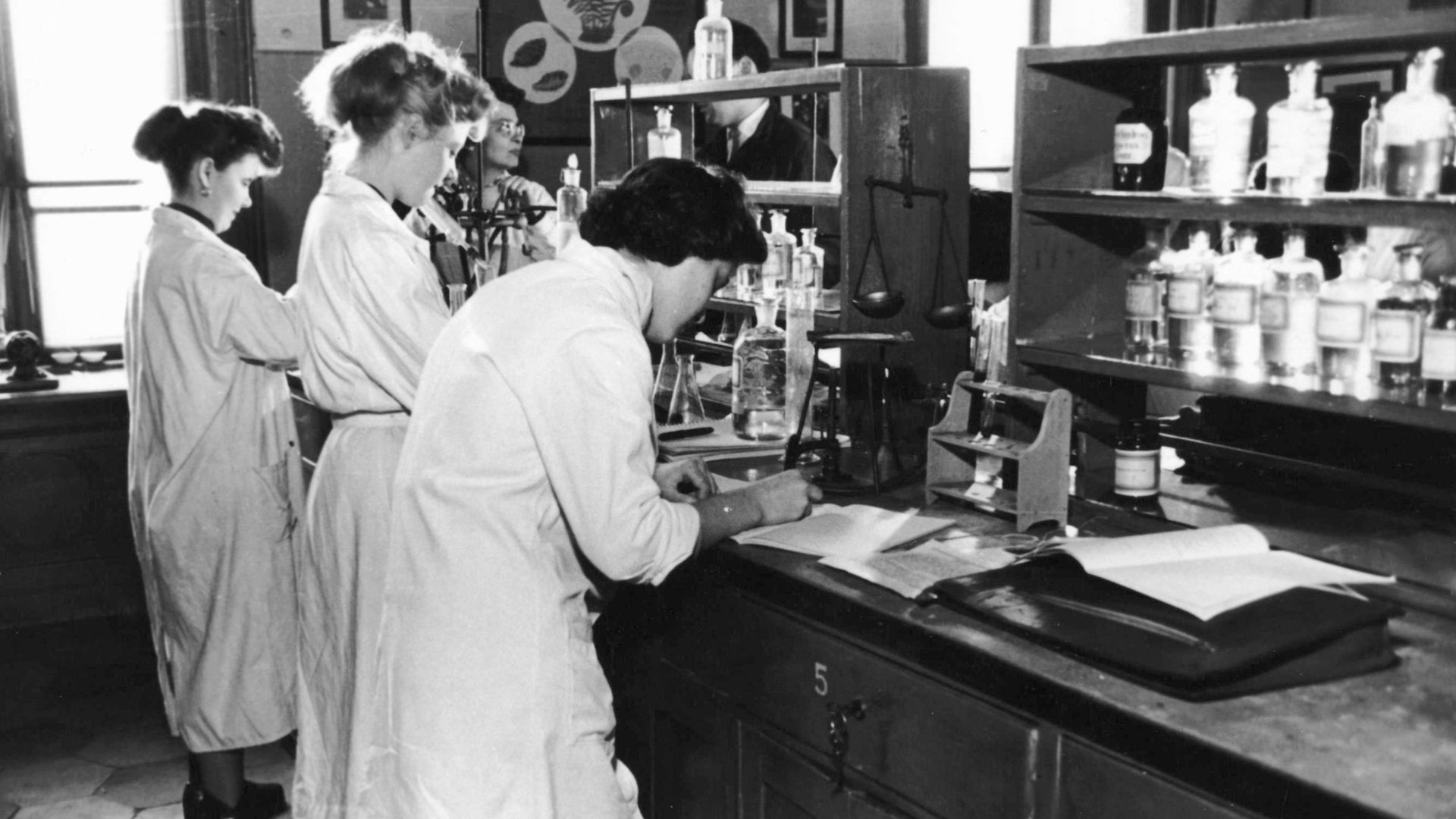 Tags: pharmacy, shop interior, counter, work