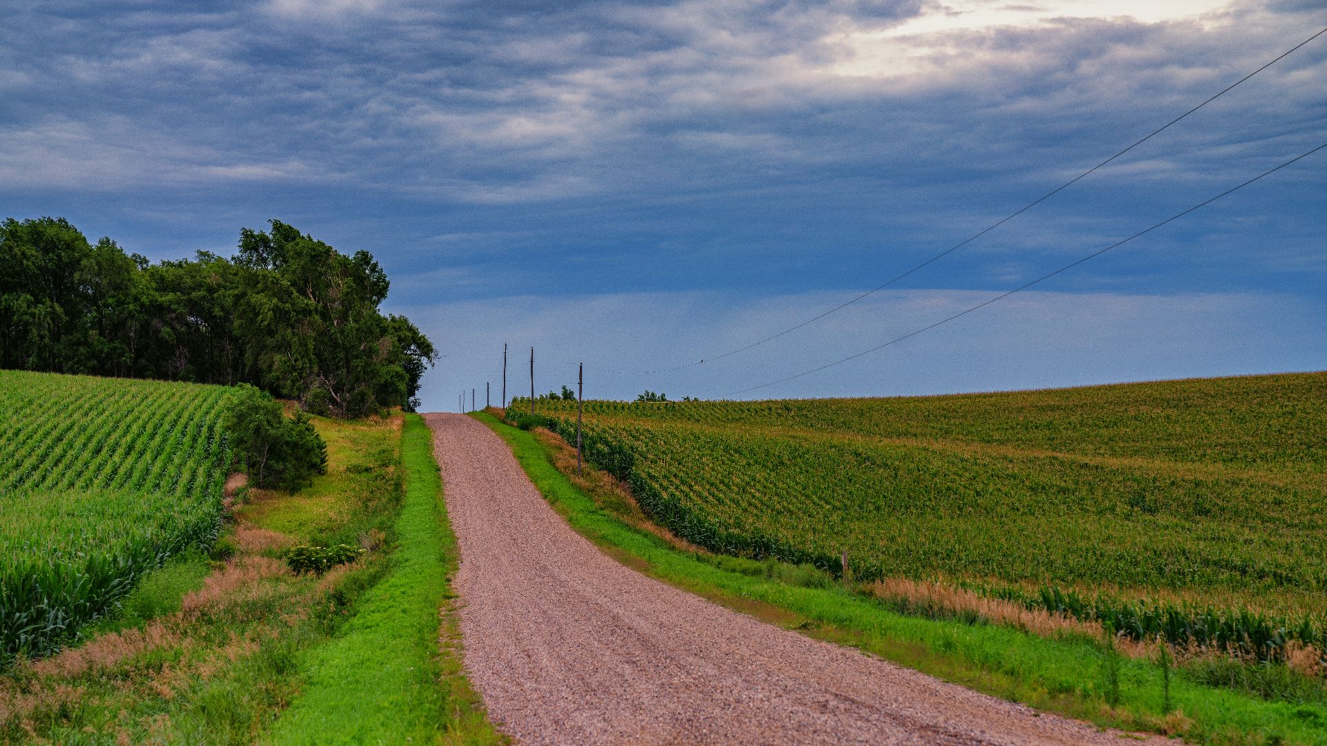 A dirt road between farmland at 575 Avenue and 883rd Road in Obert, Nebraska.