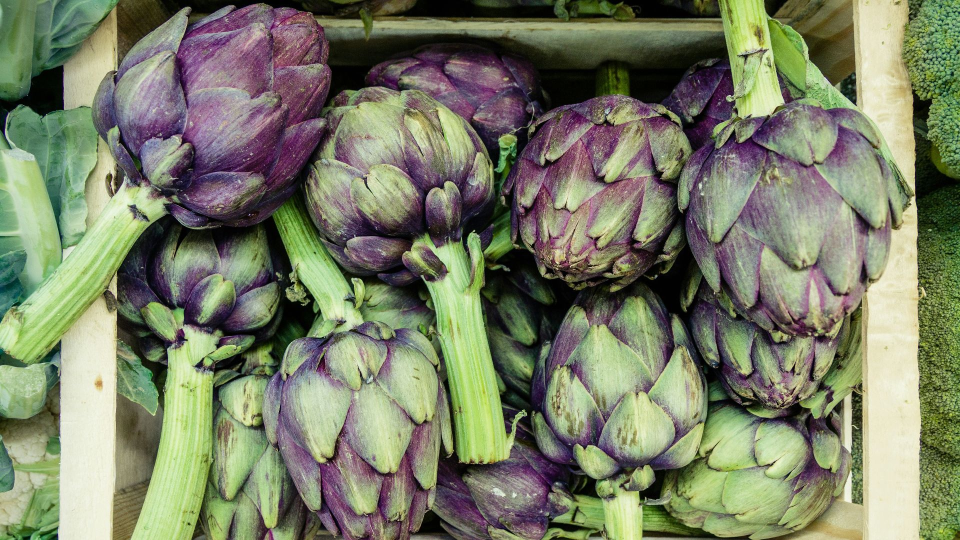 close-up photography of green and purple vegetables
