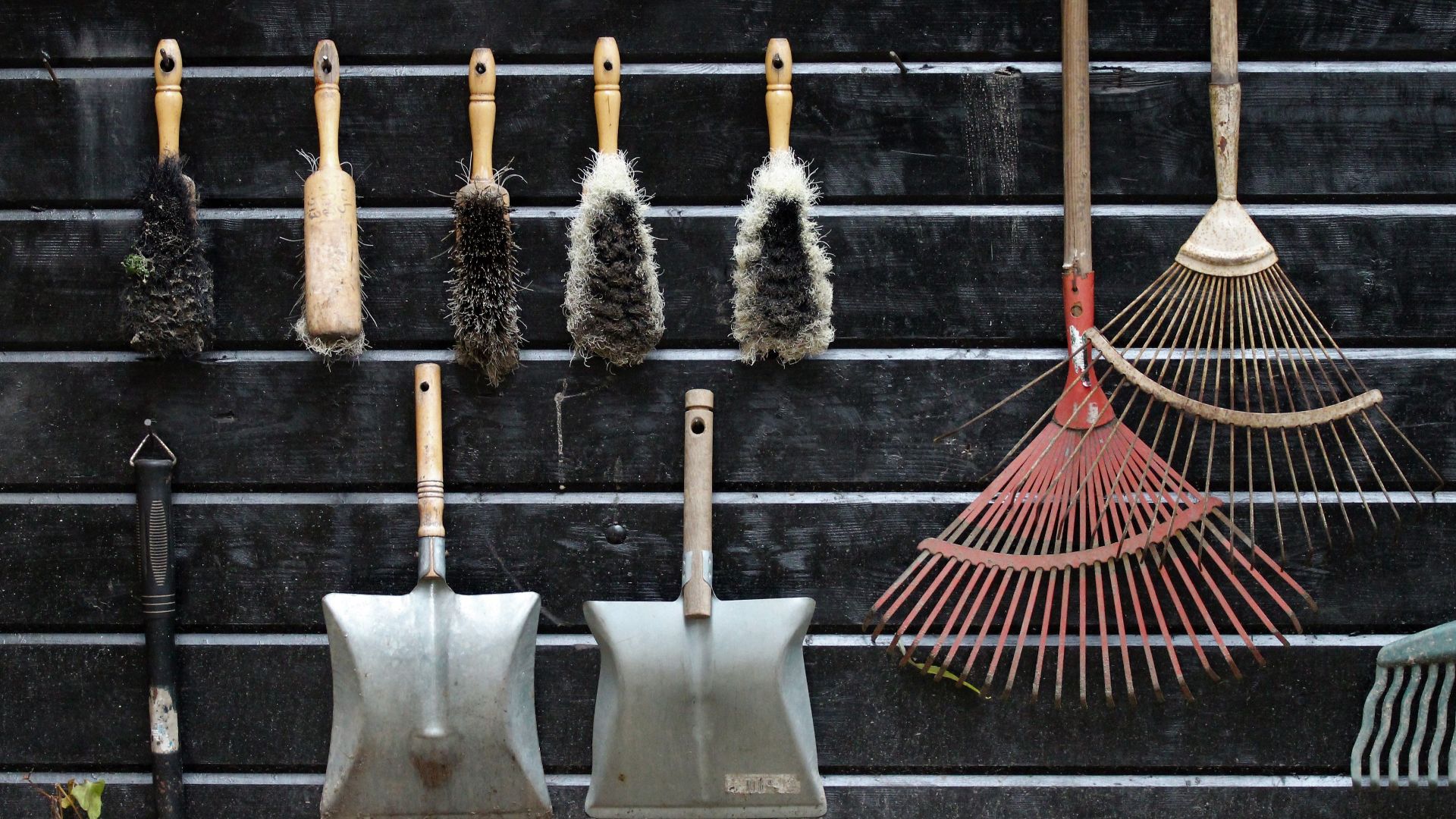 Neatly arranged garden tools hanging on a rustic wooden wall.
