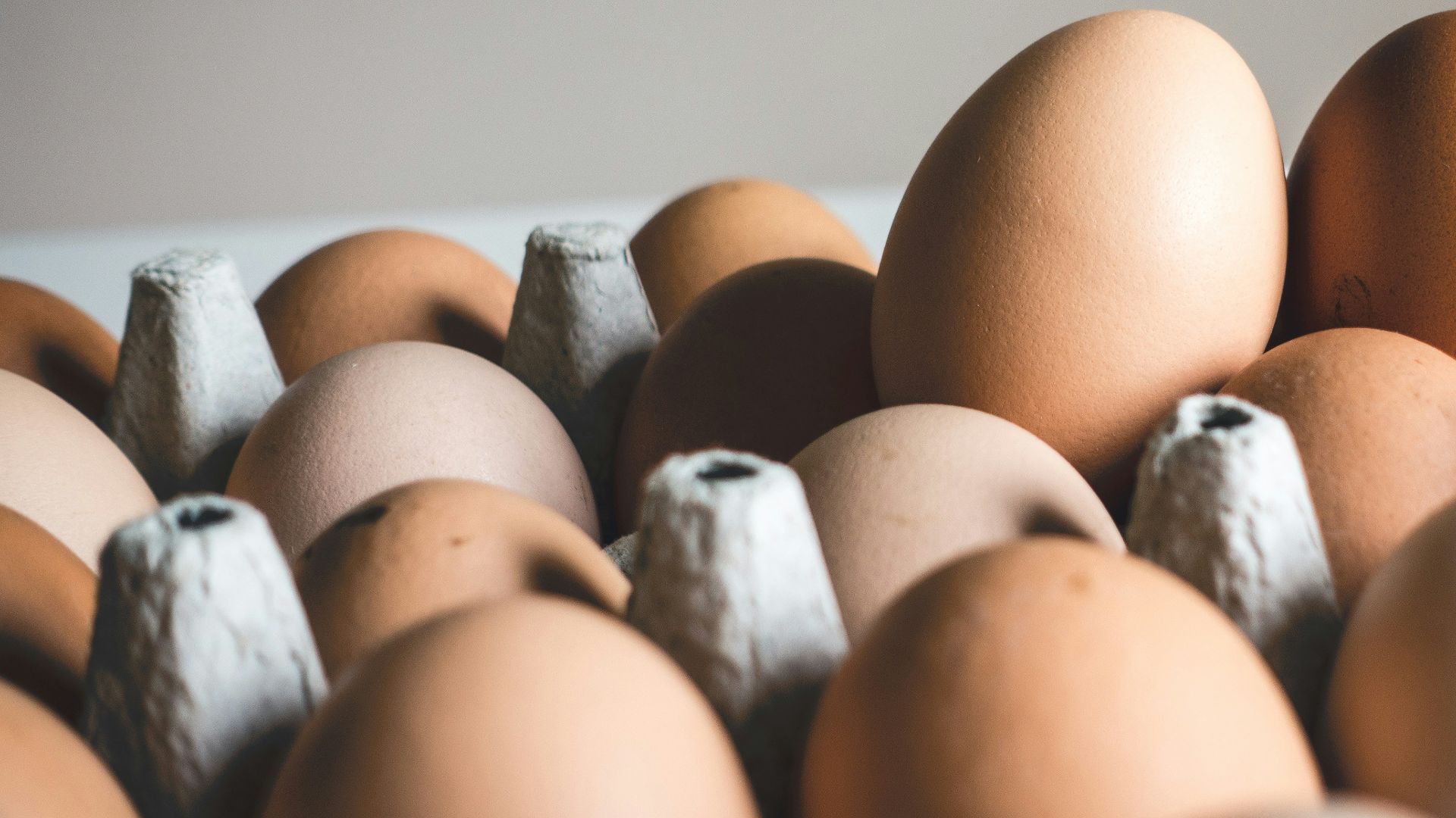 shallow focus photography of brown eggs