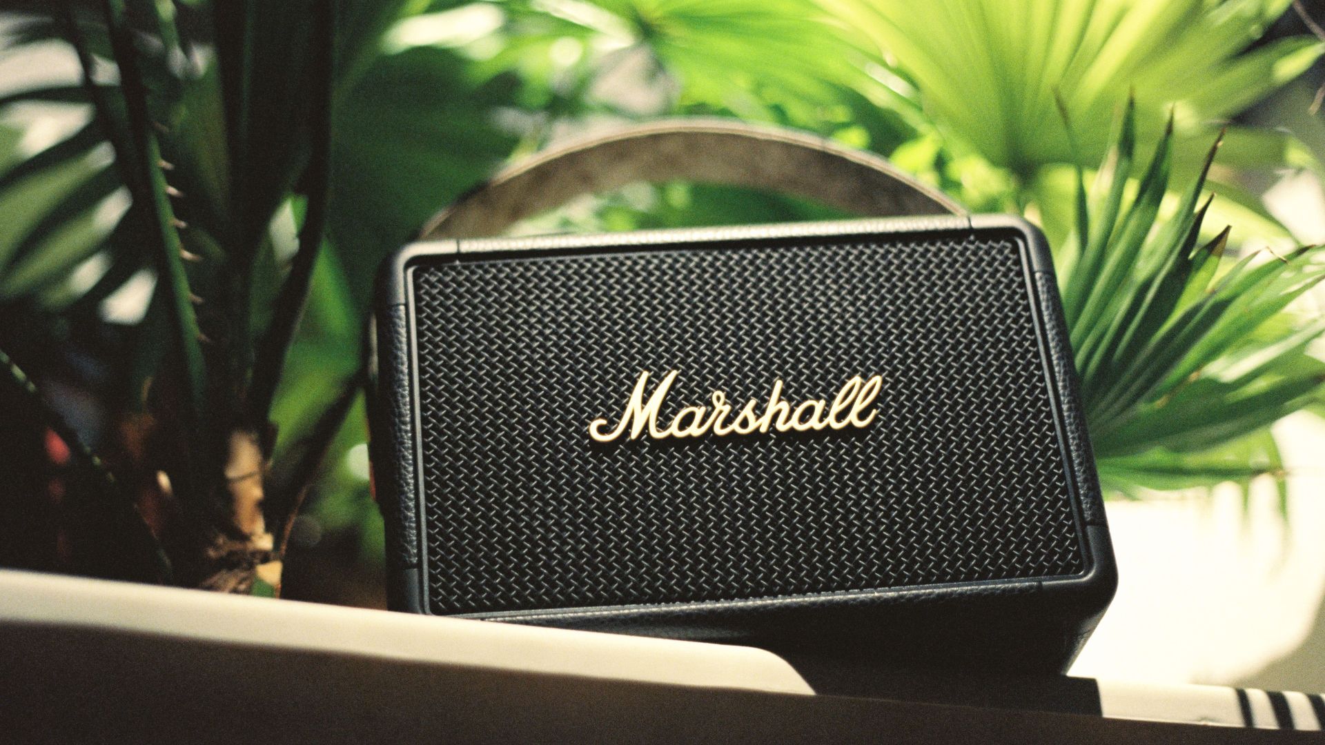 A sleek black Marshall speaker sits surrounded by vibrant green foliage, showcasing a blend of technology and nature.