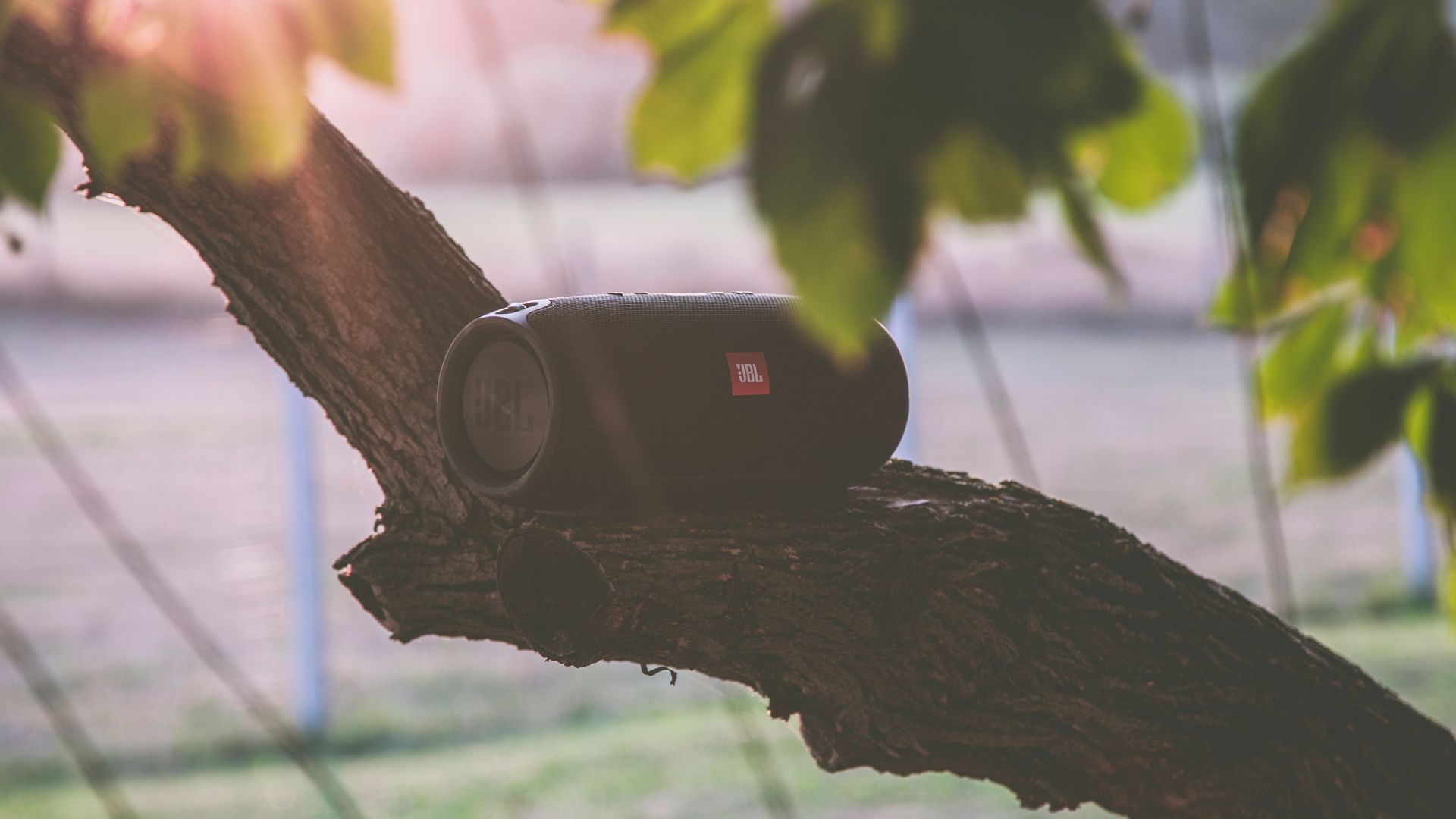 Bluetooth speaker resting on a tree branch during sunset in a serene outdoor setting.