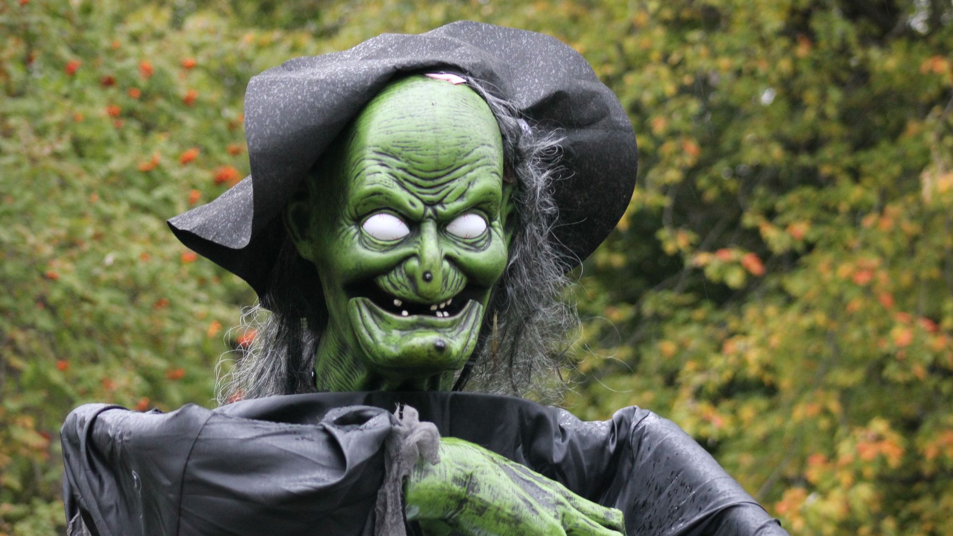 Spooky green witch figure with menacing grin in autumn setting, ideal for Halloween themes.