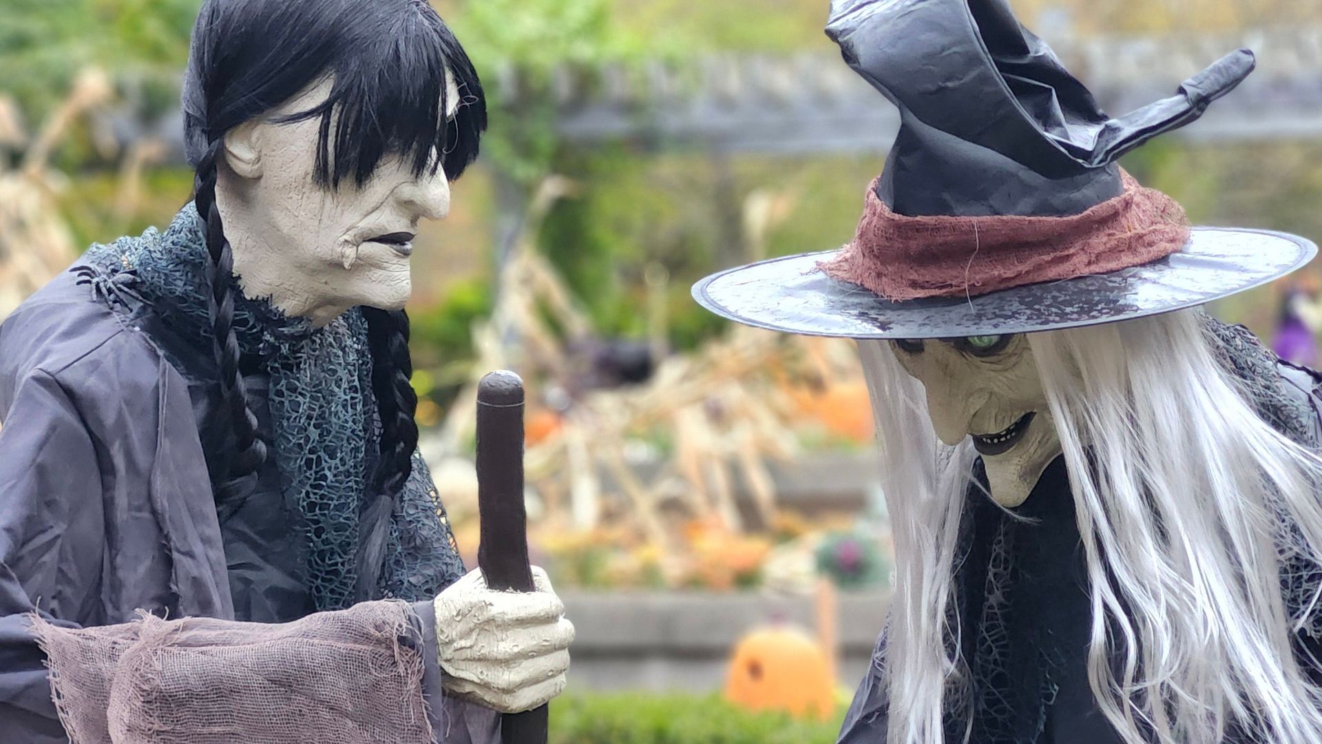 Two Halloween witch mannequins in a spooky garden scene during fall.