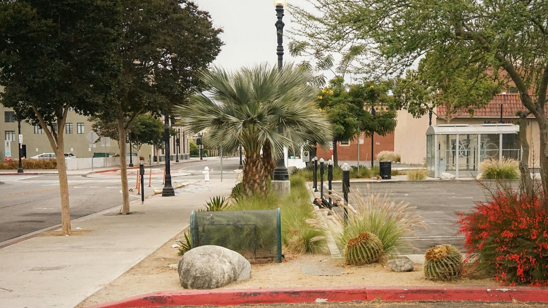 green palm tree near brown concrete building during daytime