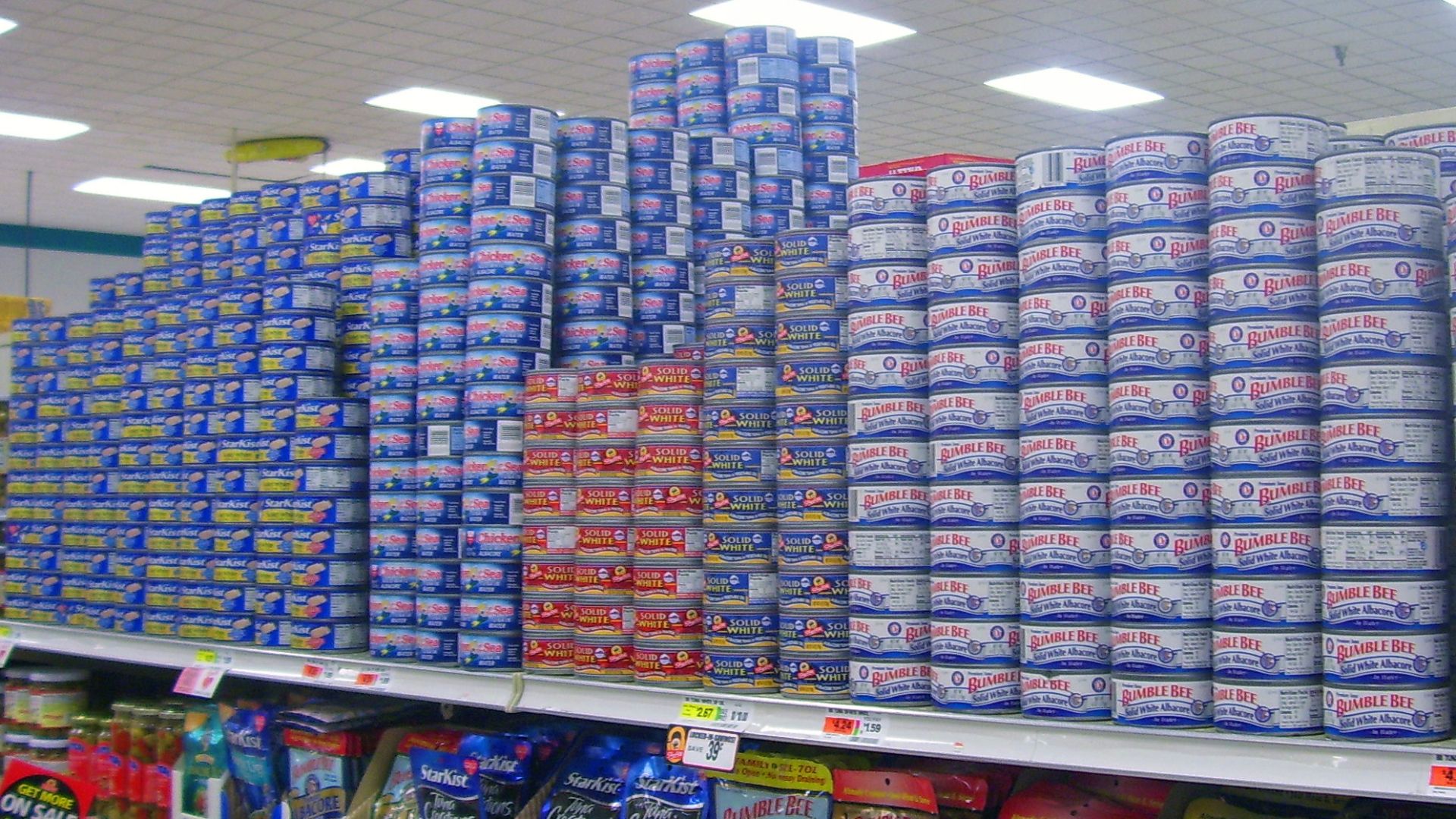 Canned tuna on sale at a supermarket