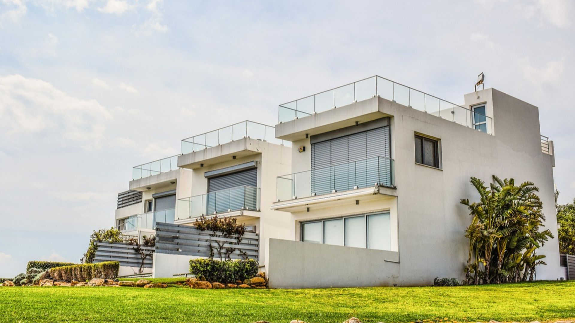 dimitrisvetsikas1969