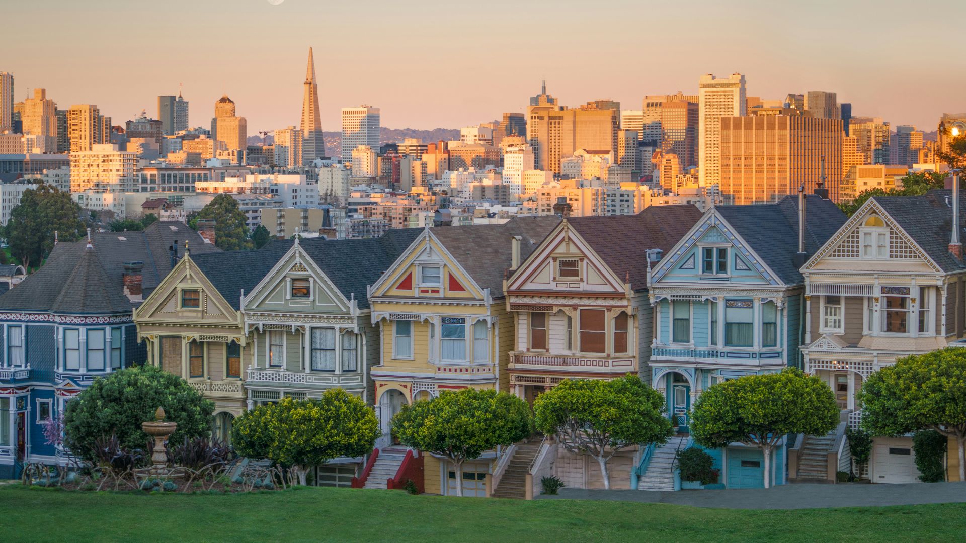 lined of white-and-blue concrete buildings
