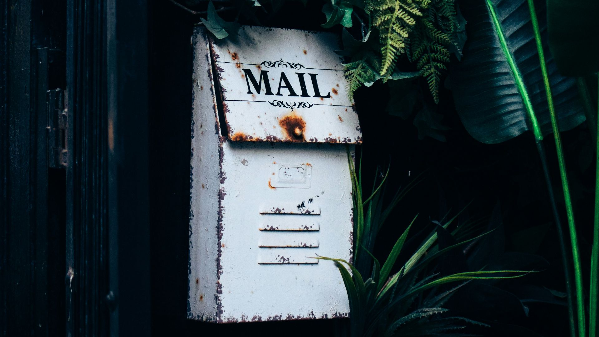 an old mailbox is surrounded by tropical plants