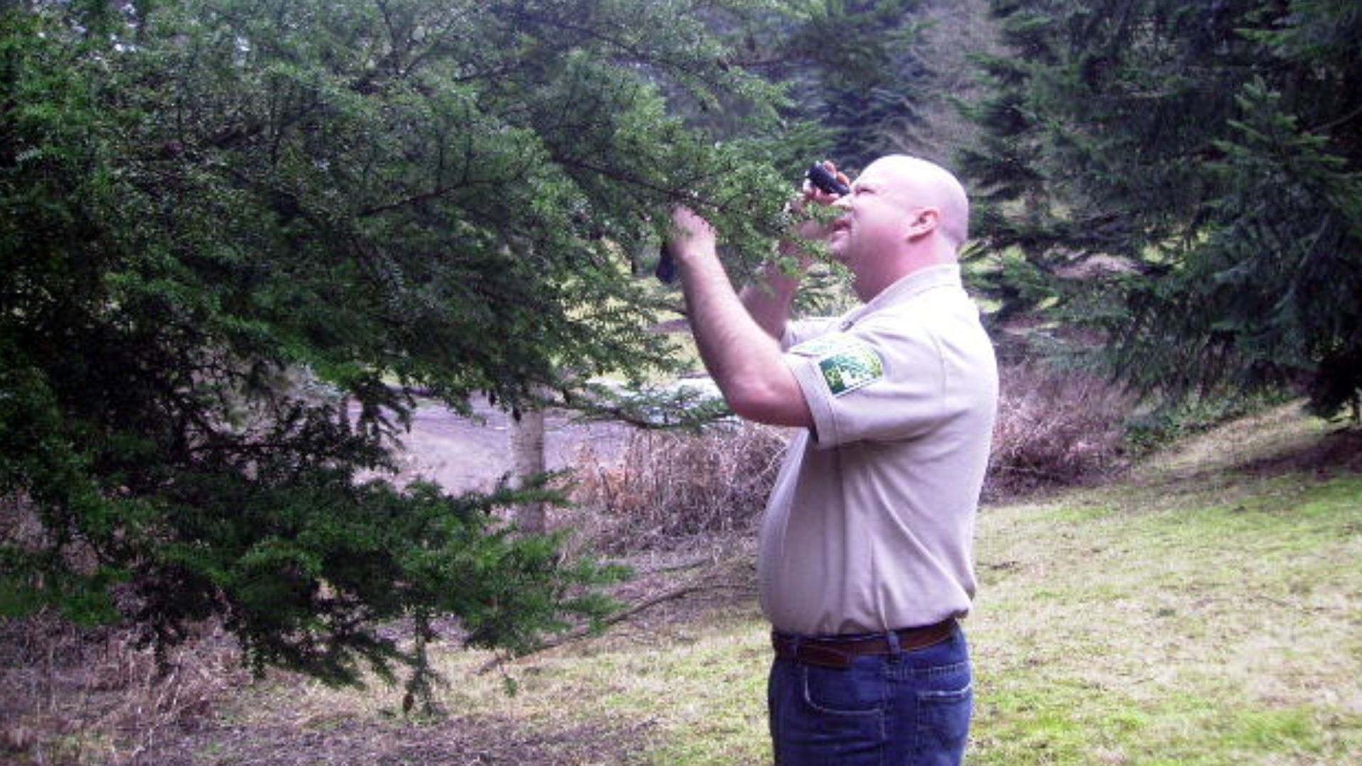 File:ISA Certified Municipal Arborist, James Kinder.jpg