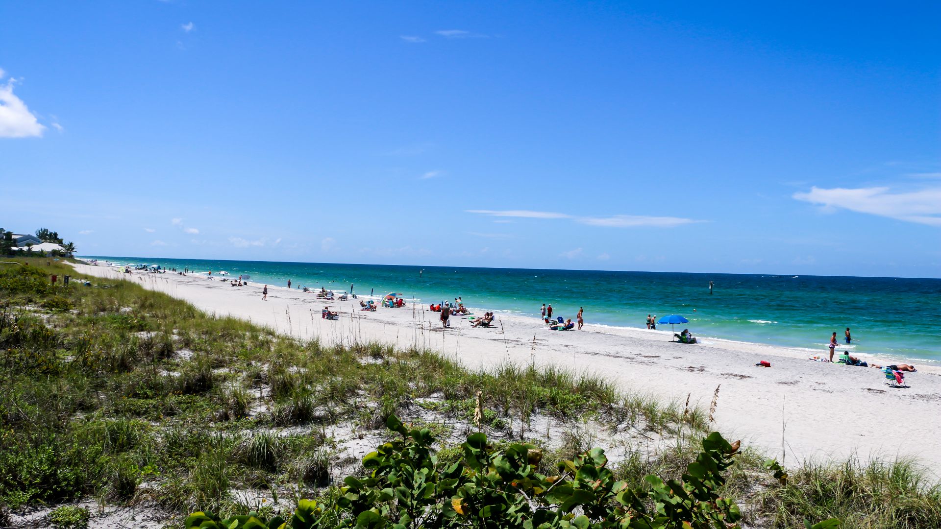 File:Englewood Beach081915 024NEW.jpg