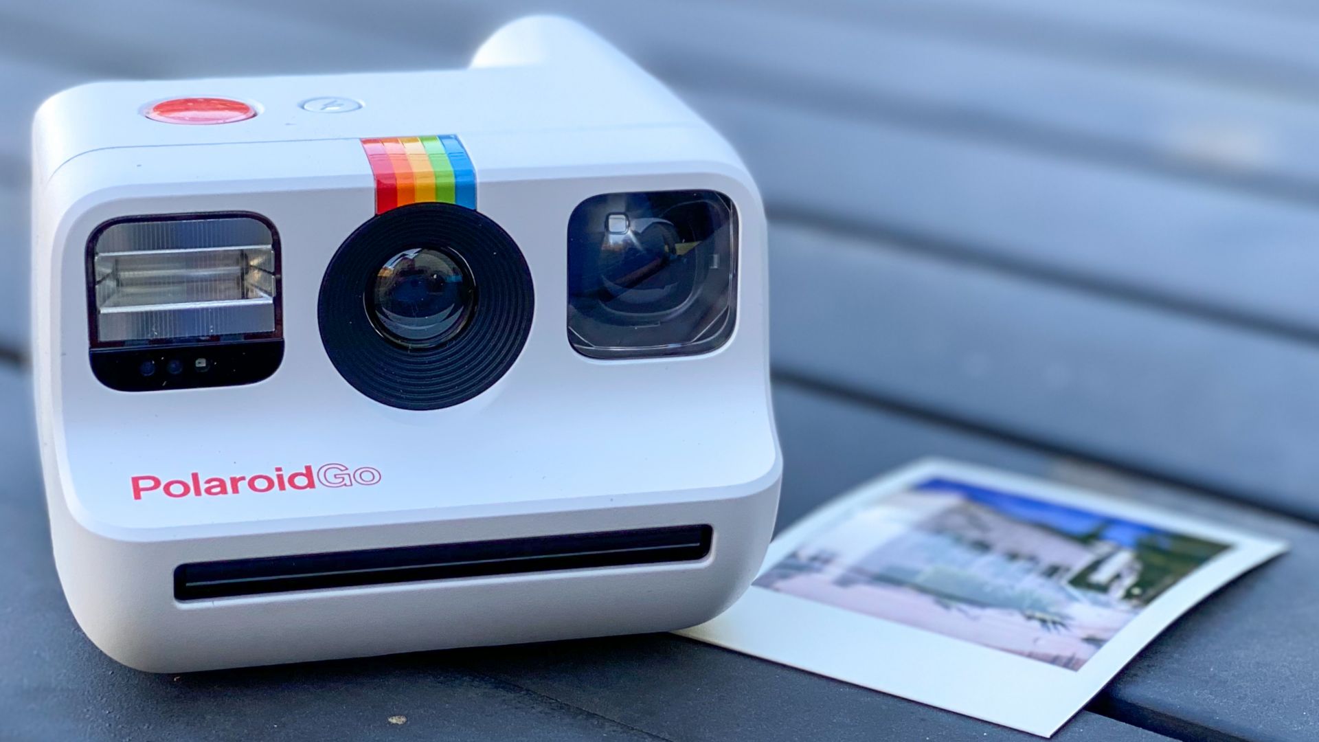 File:Polaroid Go (51368962924).jpg