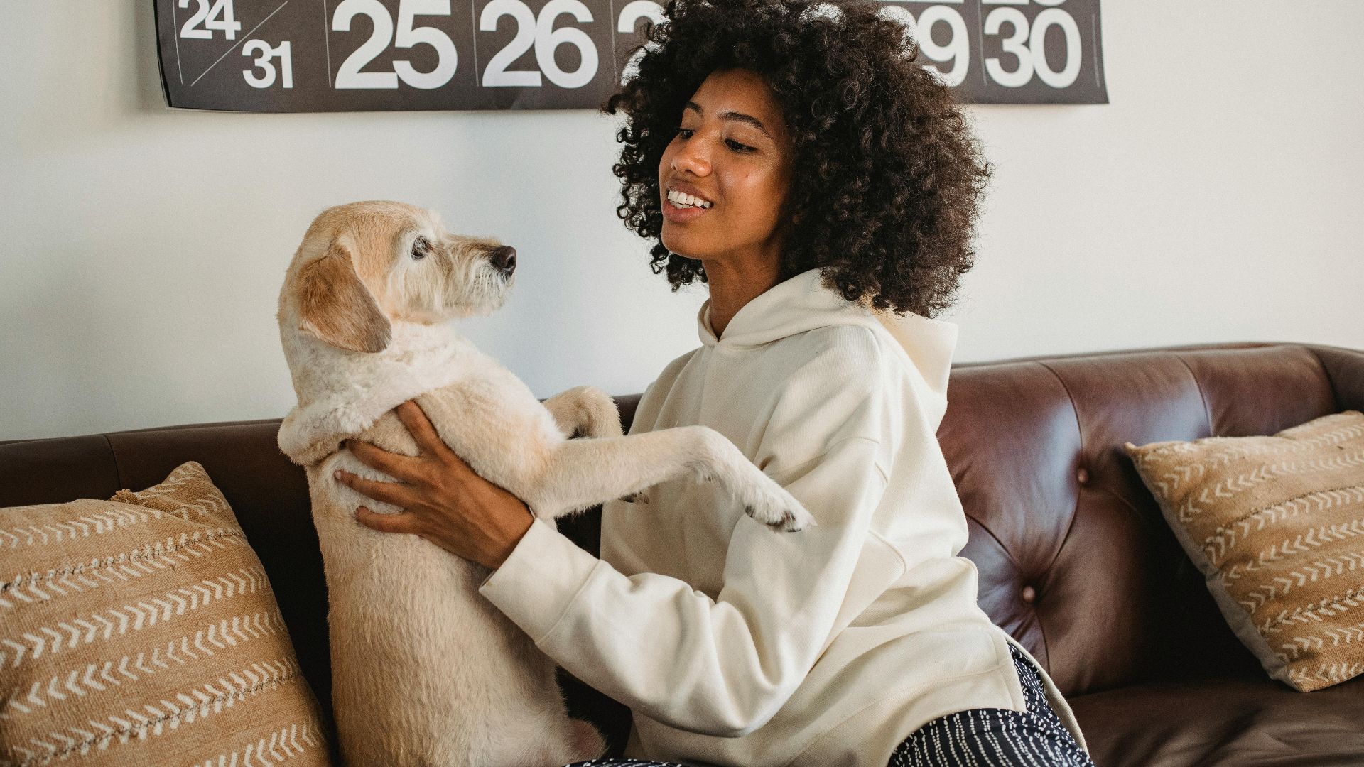 Smiling young African American woman cuddling with dog while sitting on sofa in casual clothes at home
