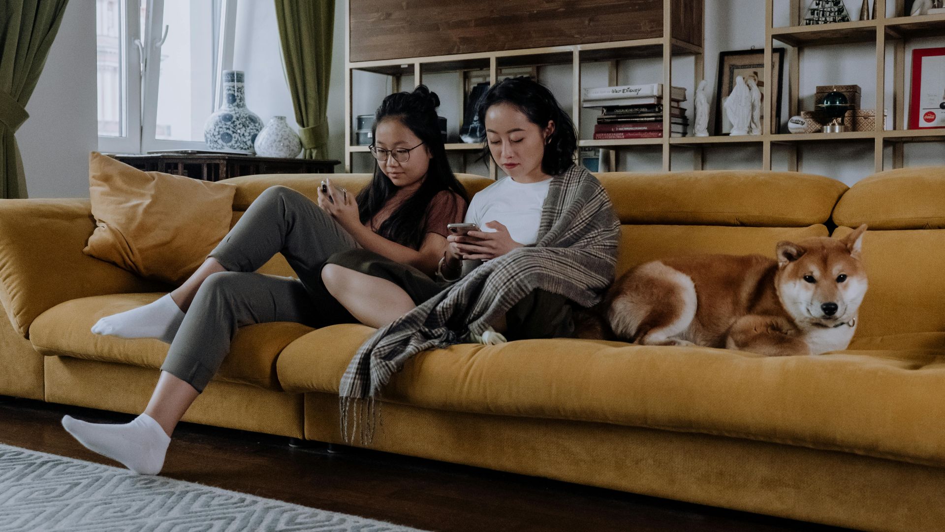 Two women sitting on a sofa with a Shiba Inu dog, using smartphones in a cozy living room.