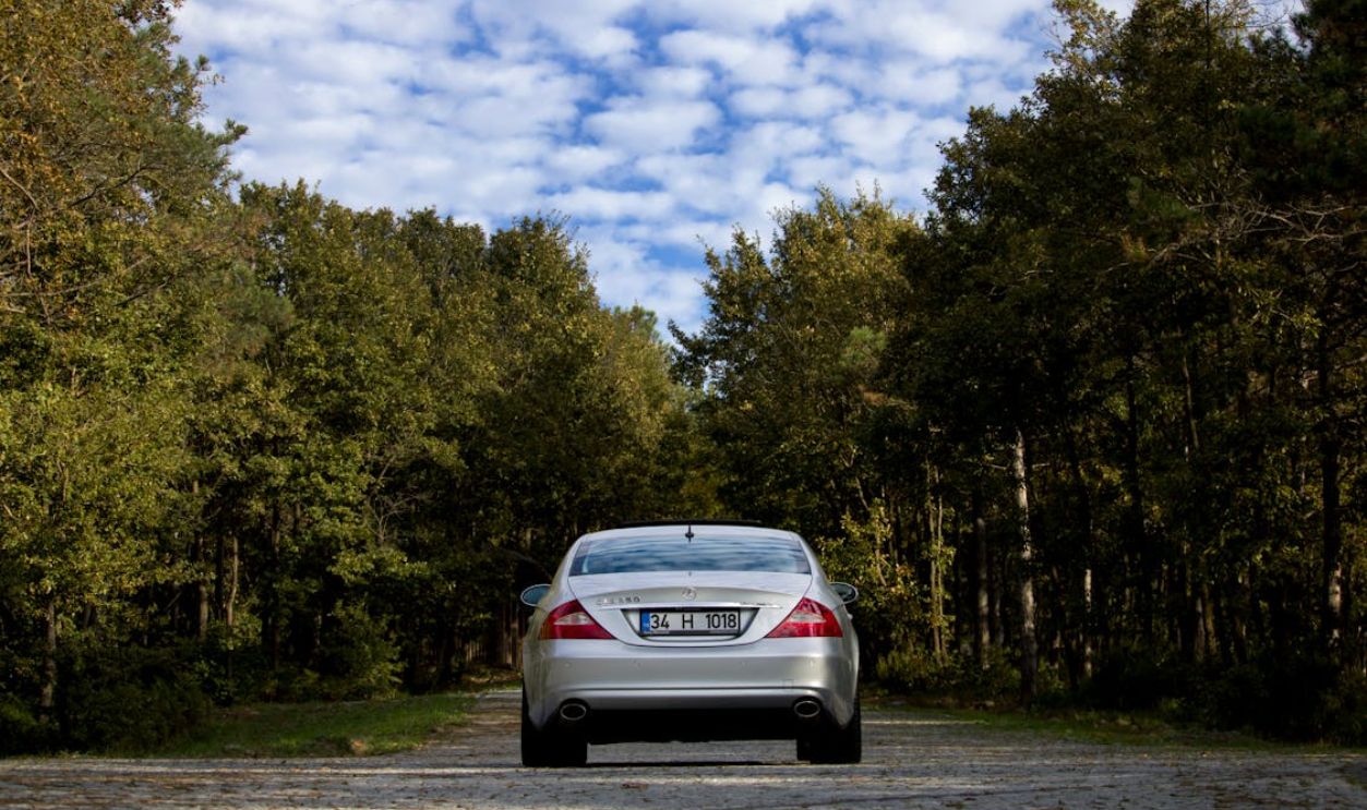 Back View Shot of Silver Car Moving on the Road Between Tall Trees